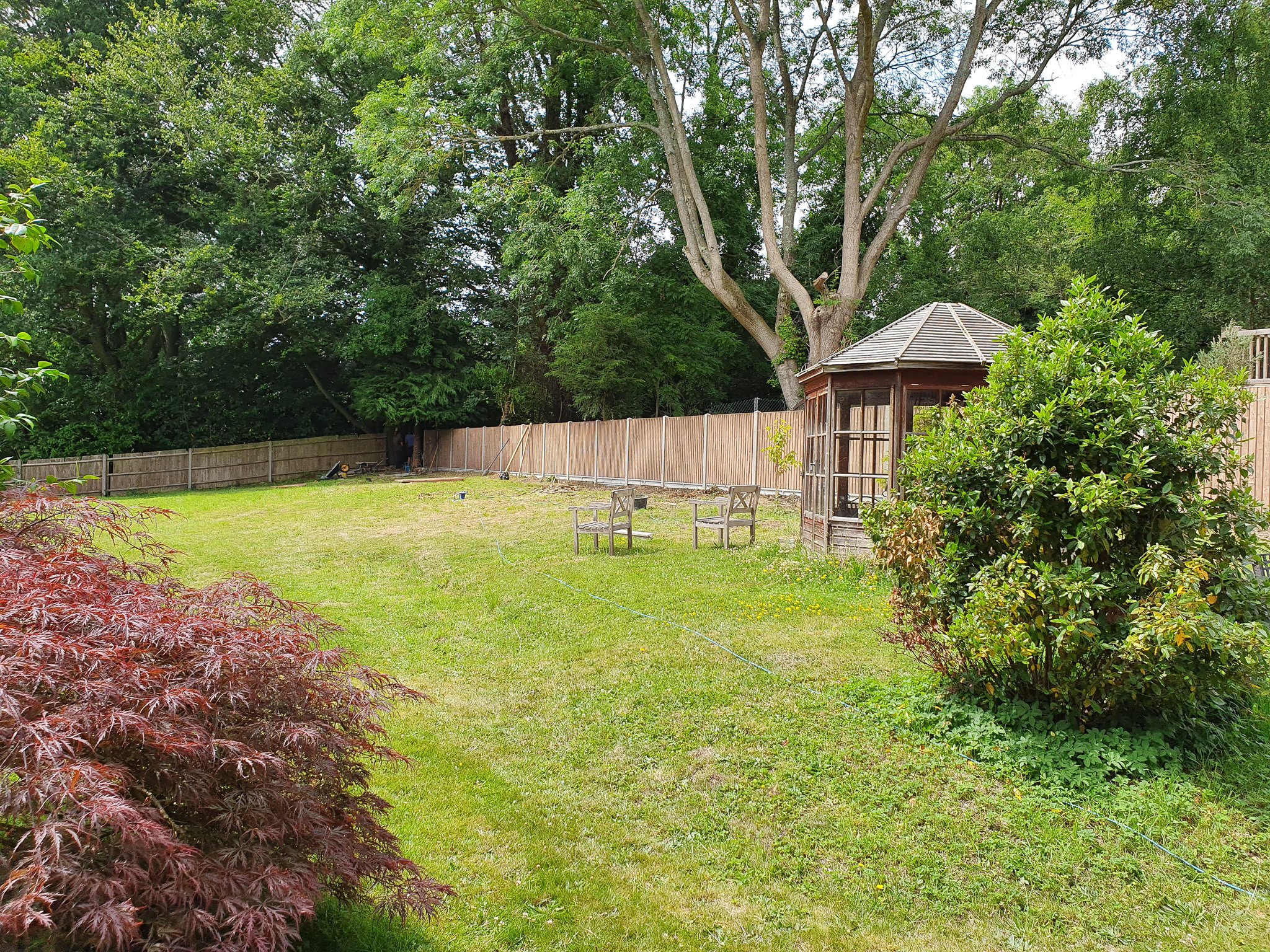 A backyard with a grassy lawn, a wooden fence, a small gazebo, and several trees and shrubs.