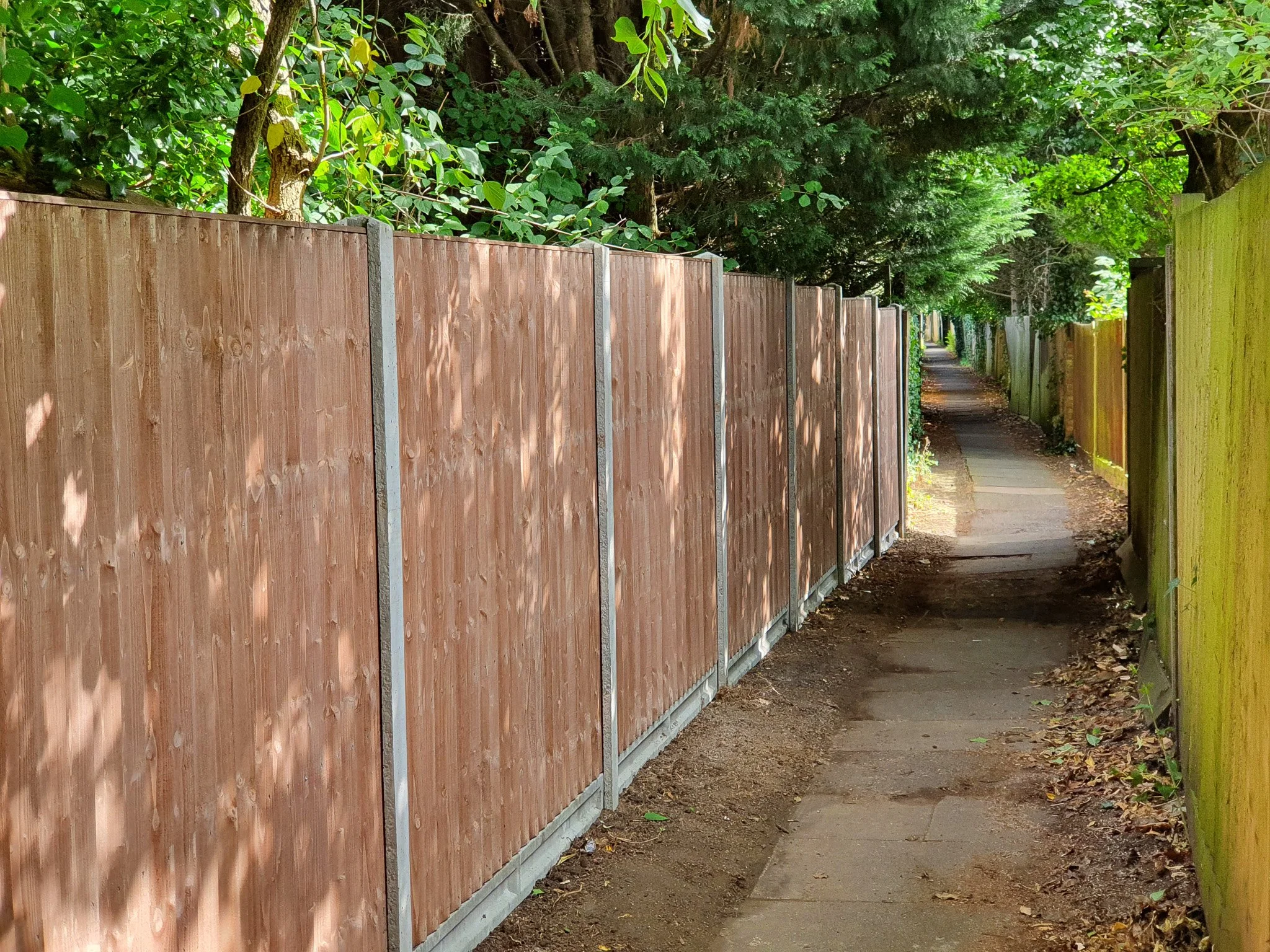 A narrow sidewalk between a wooden fence on the left and a tall green fence on the right, with trees overhead providing shade.