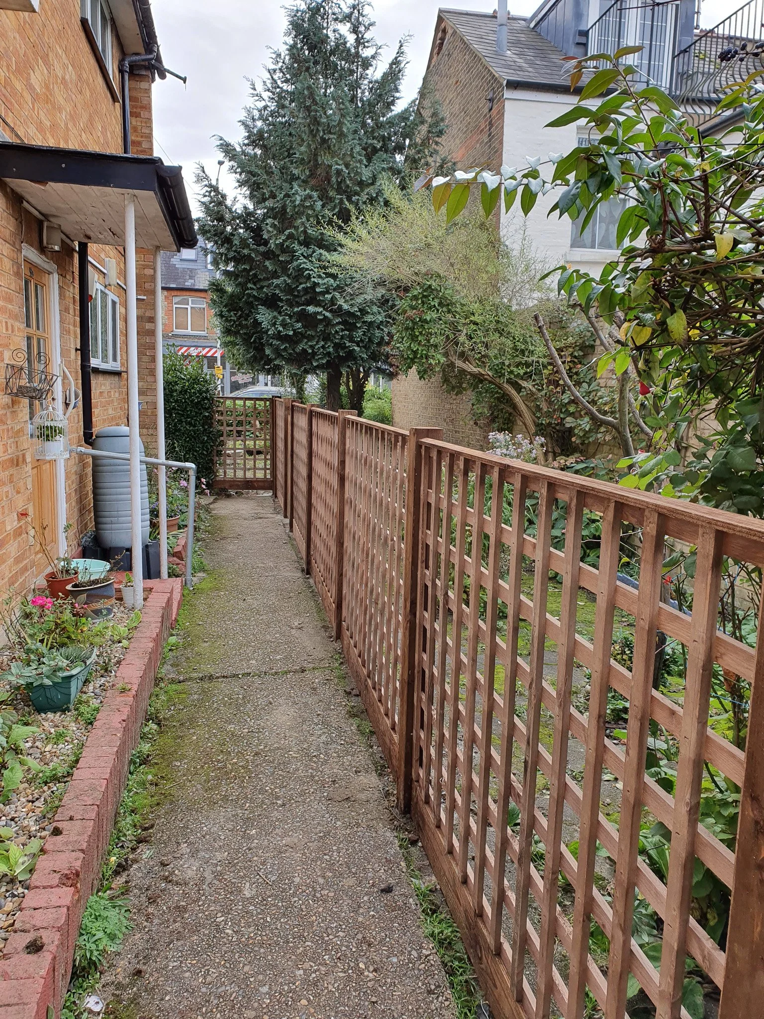 A narrow concrete pathway beside a brick house on the left with potted plants and garden ornaments, and a wooden fence on the right with a garden area filled with plants and trees. In the background, there are additional houses and a large evergreen 