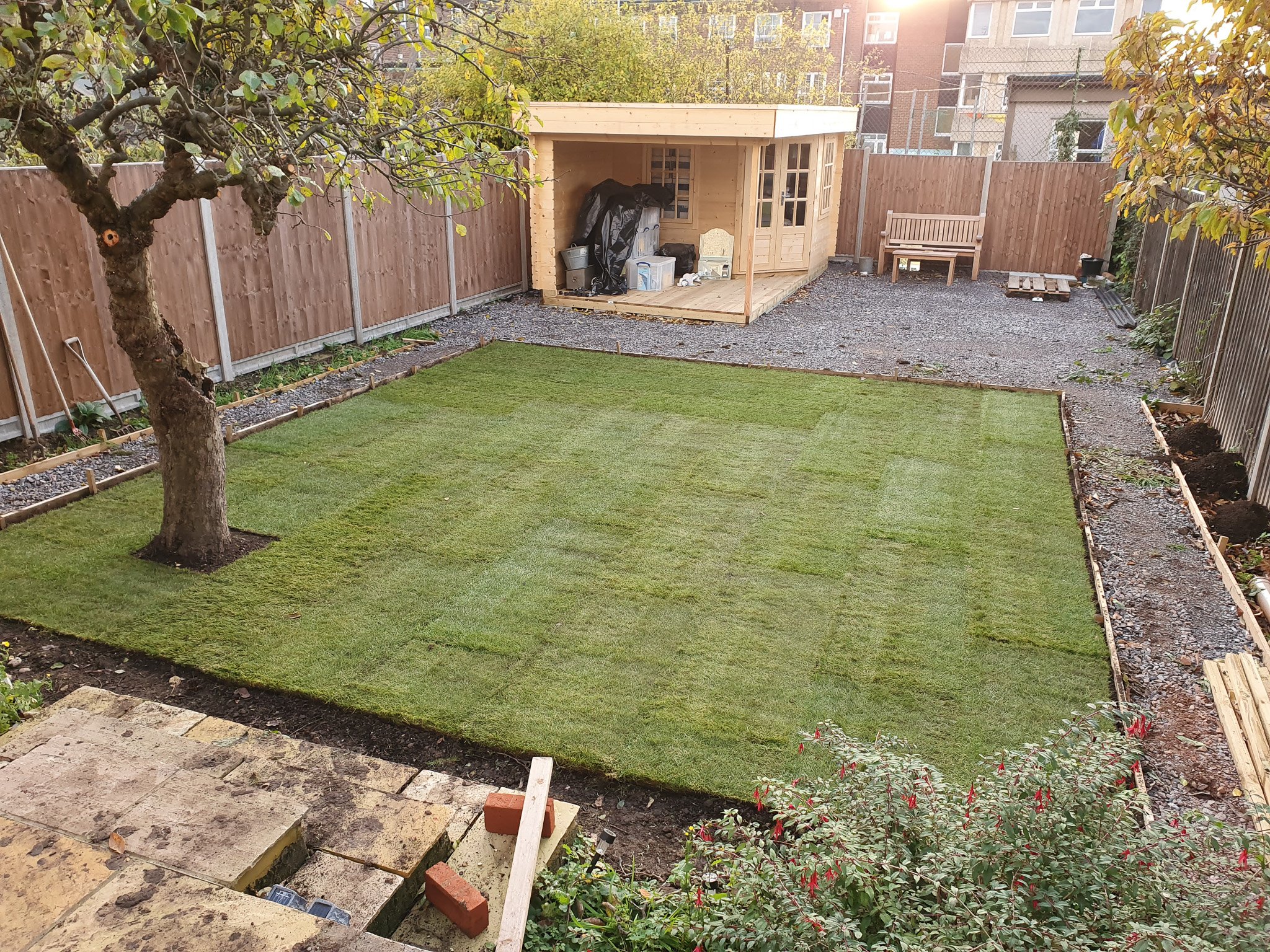 new garden lawn