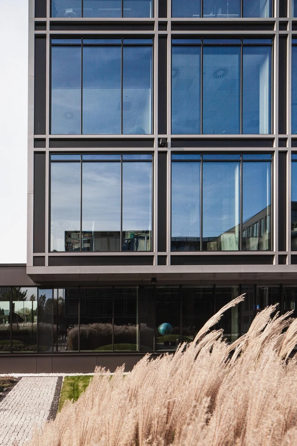 Modern glass building with reflecting windows and a garden with ornamental grasses in the foreground.
