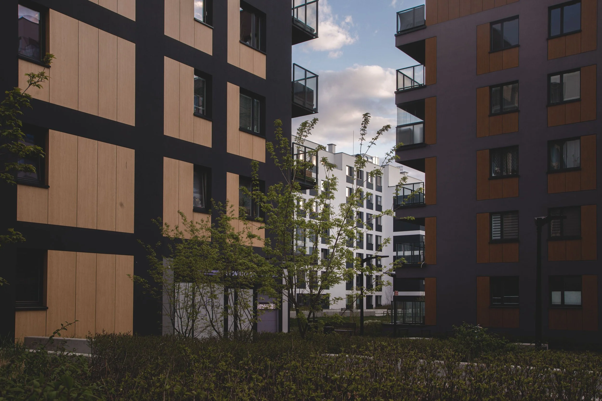 Modern apartment buildings with wooden and dark-colored facades, balconies, and a central courtyard with a tree and benches.