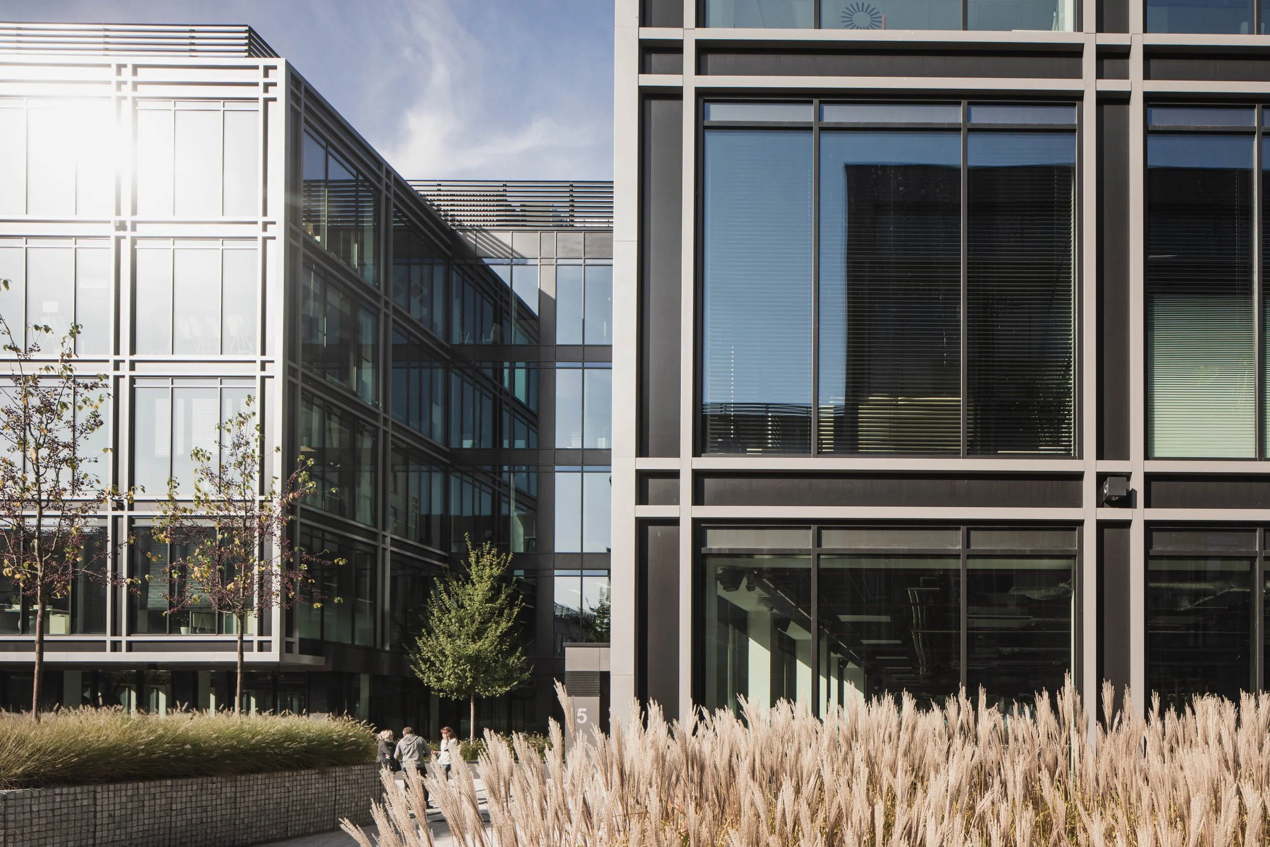 Modern office building with large glass windows, trees, and ornamental grasses outside, under a partly cloudy sky.
