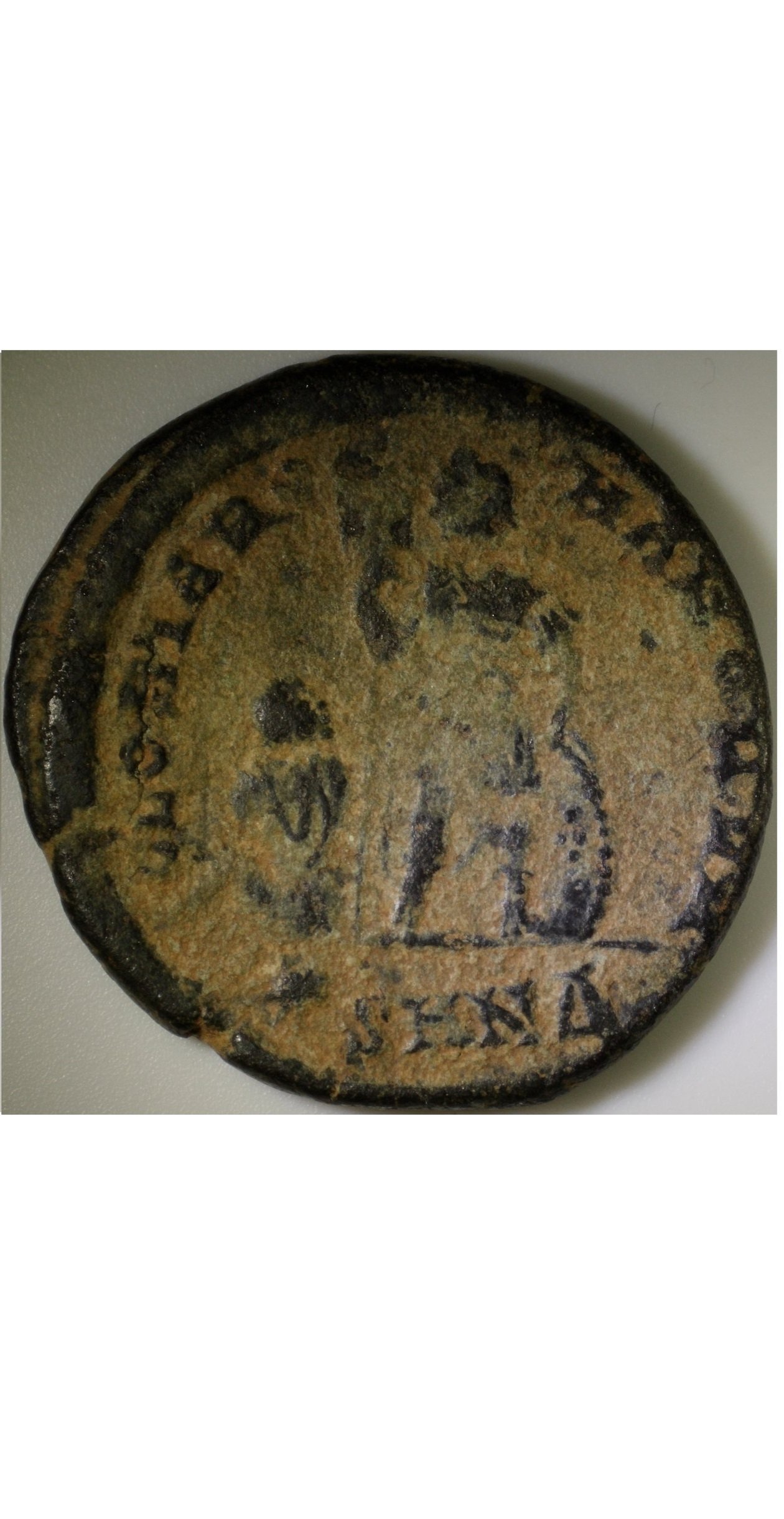 arcadius+follis.jpg