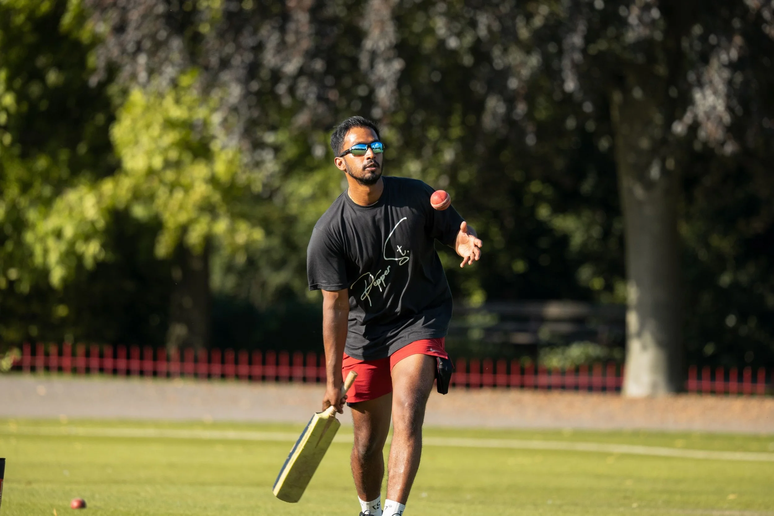 Cricket (4).jpg