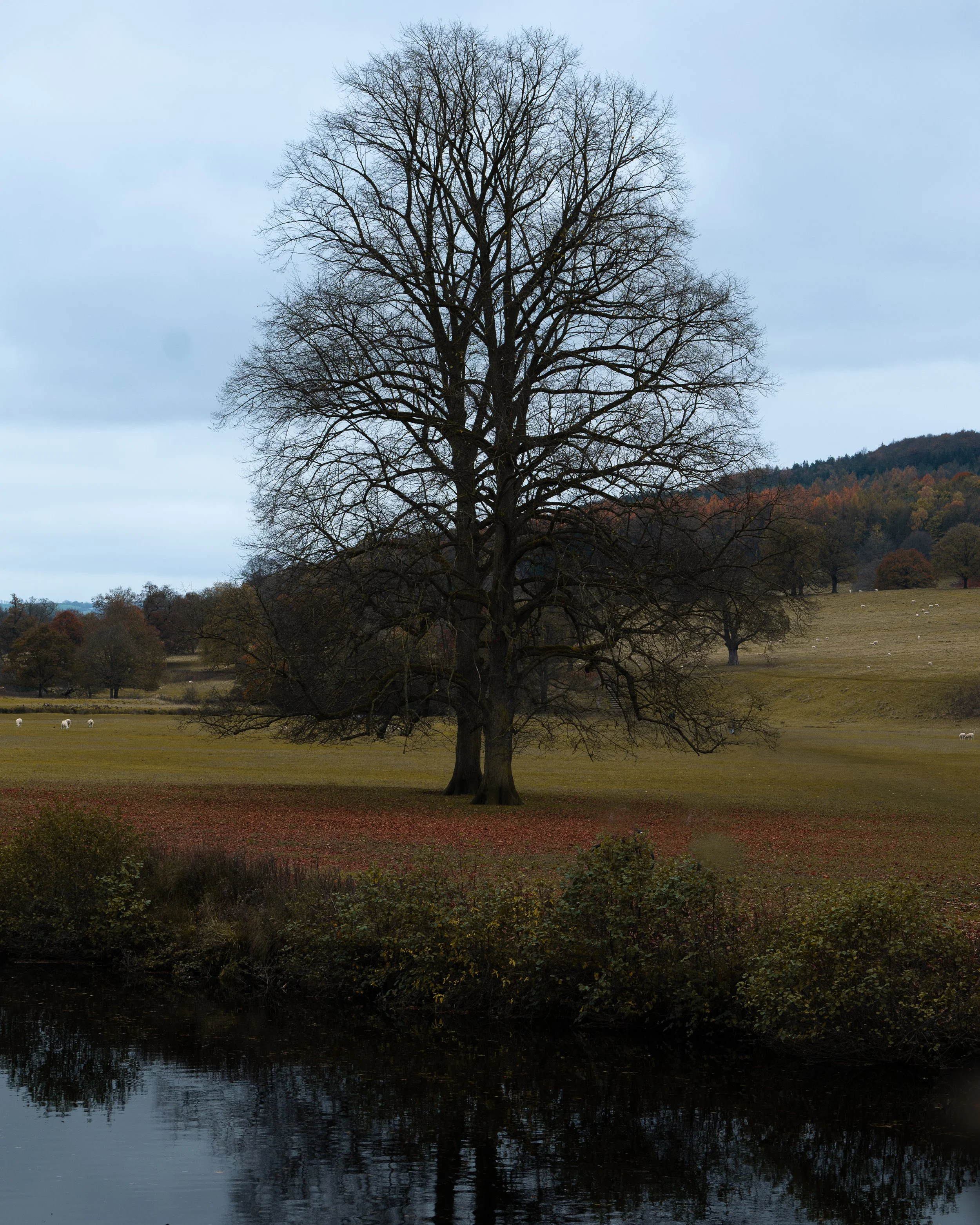 Chatsworth-1-3.jpg