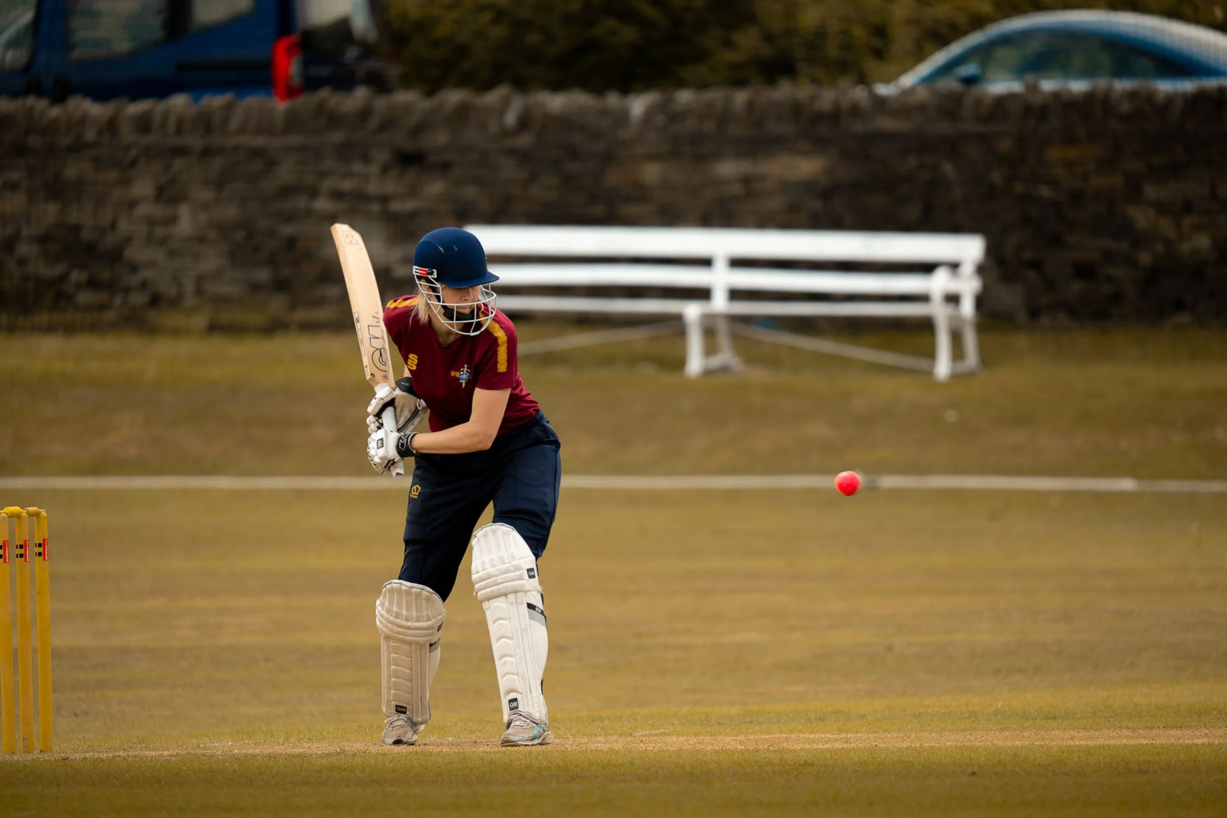 Cricket (1).jpg