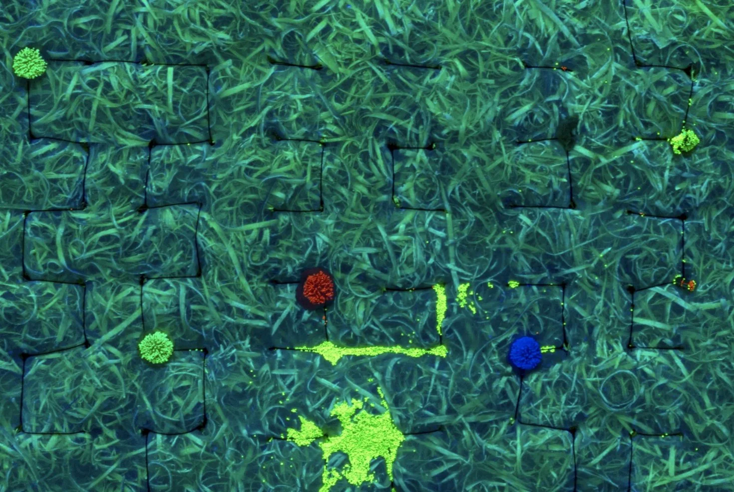 058A5C0C-0679-4176-88B6-C99AC1B2C317.jpeg