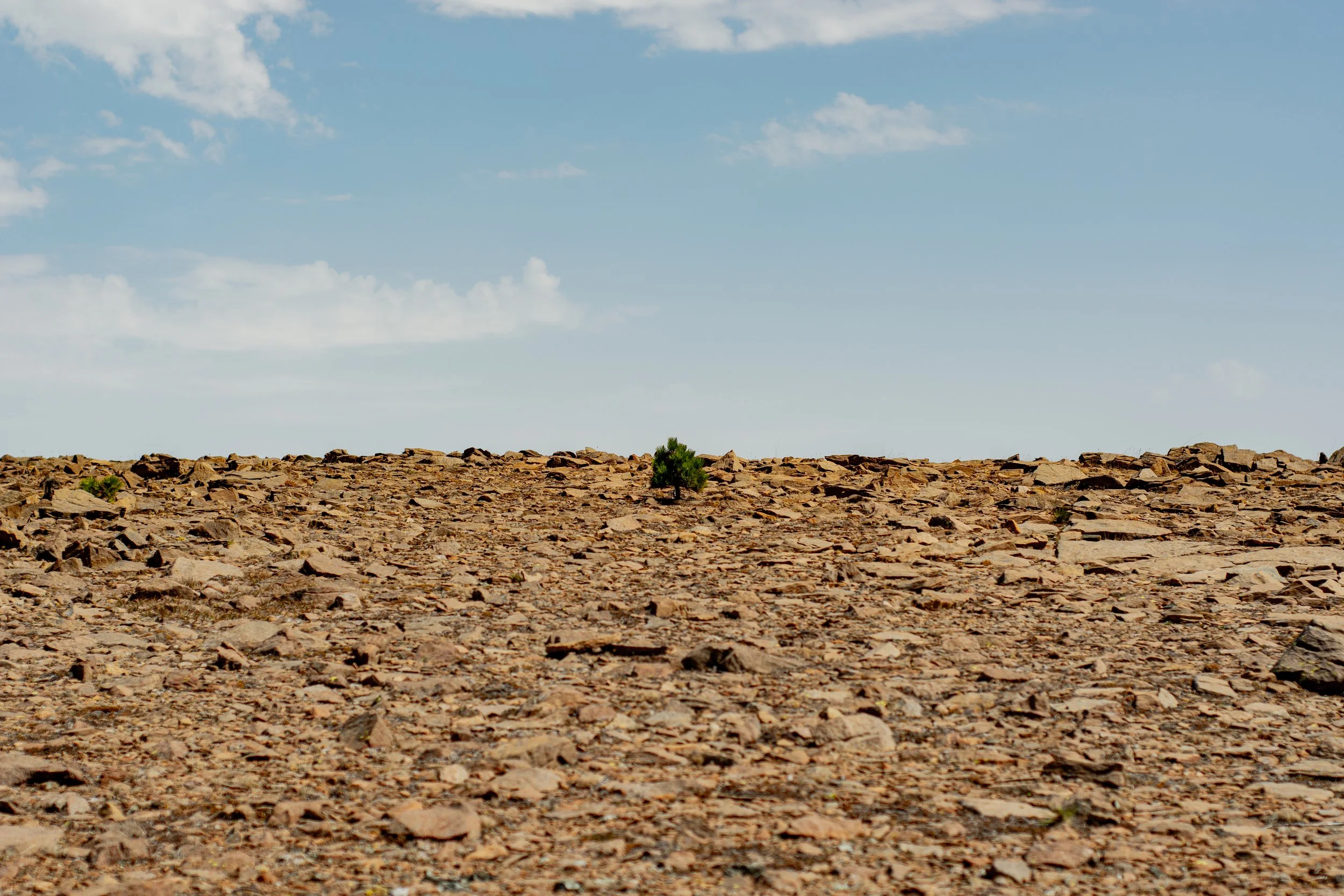 _DSC5162-31.jpg