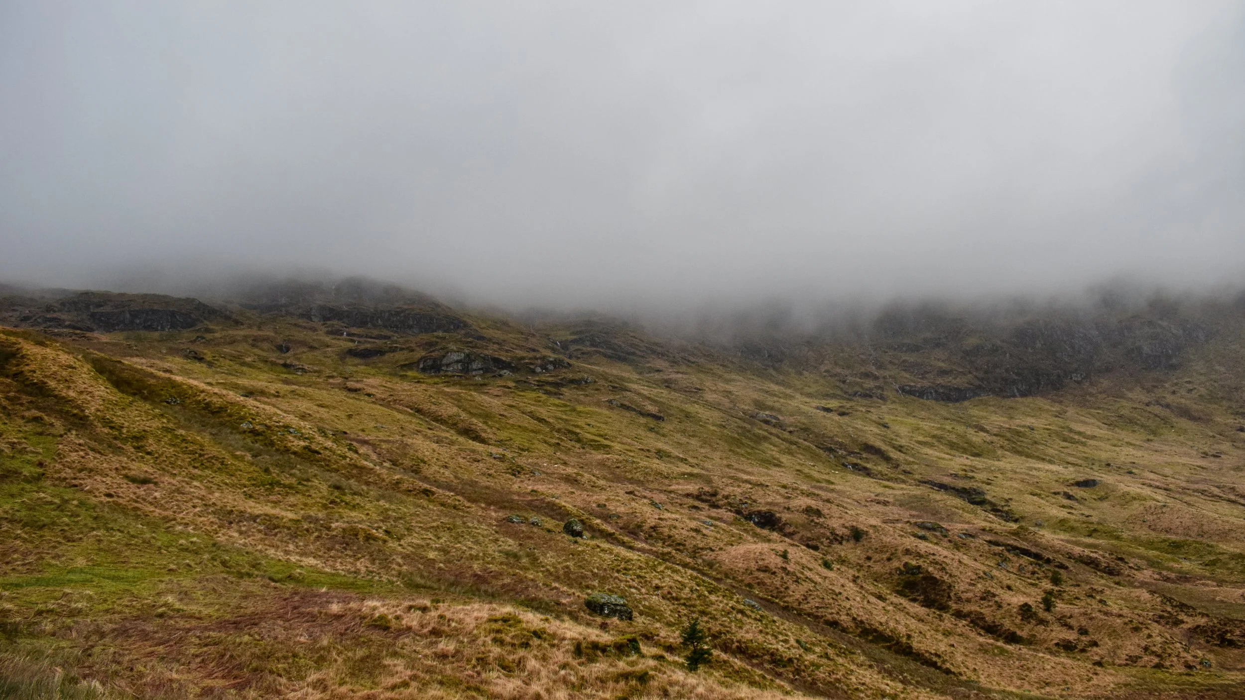 DSC_0236-1.jpg
