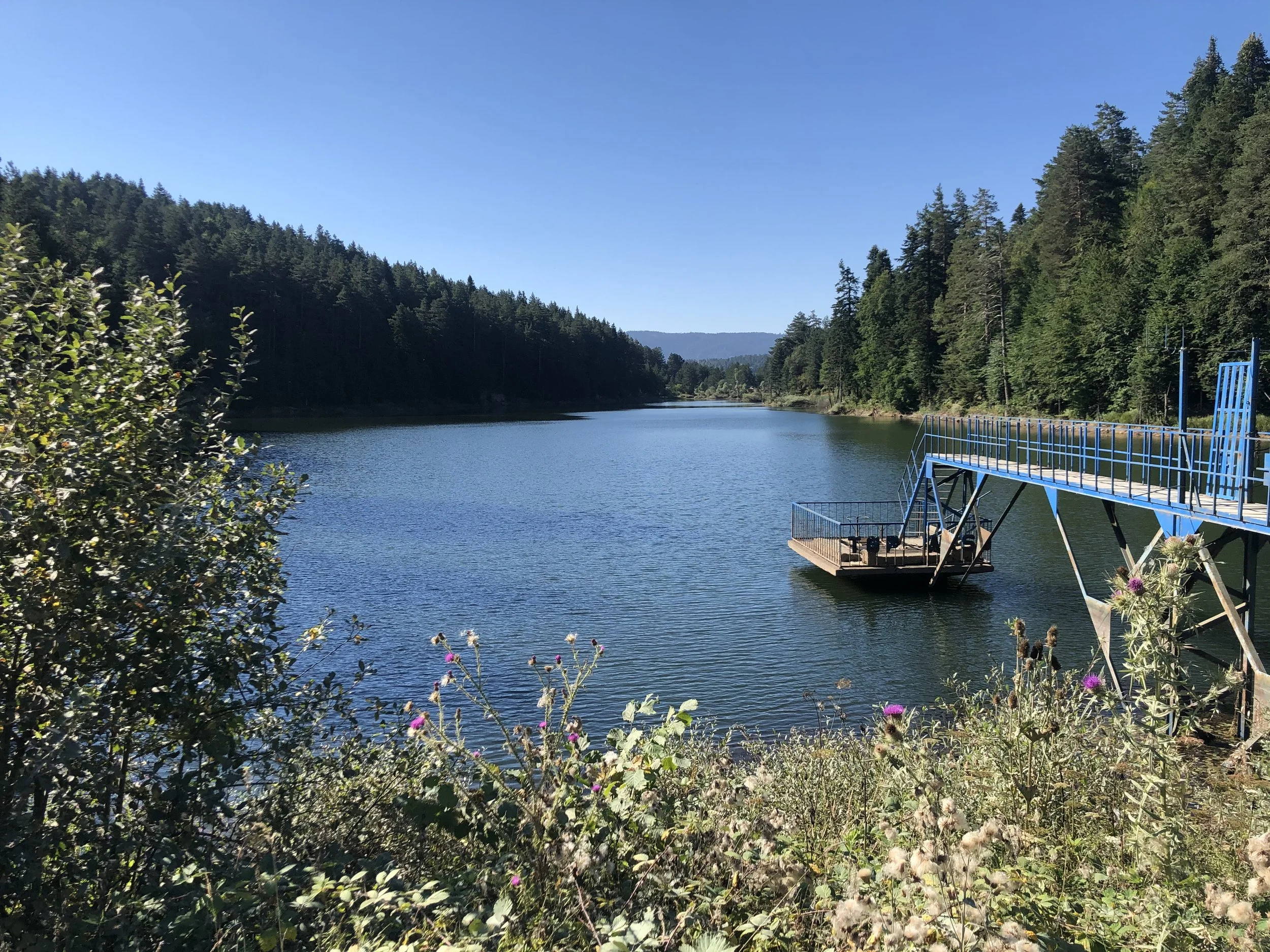 İstanbul Yakınlarında Kamp Yapılacak Yerler: Bozcaarmut Göleti