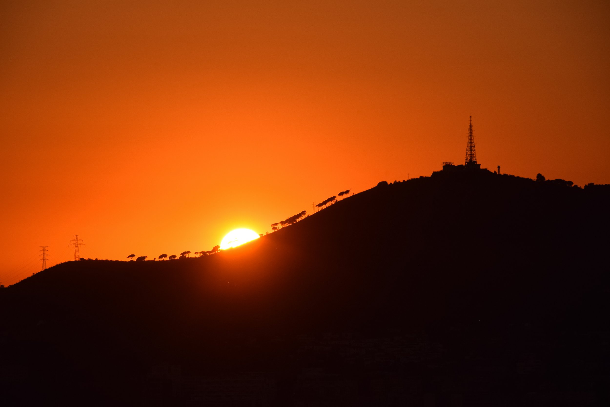 DSC_1345-6.jpg