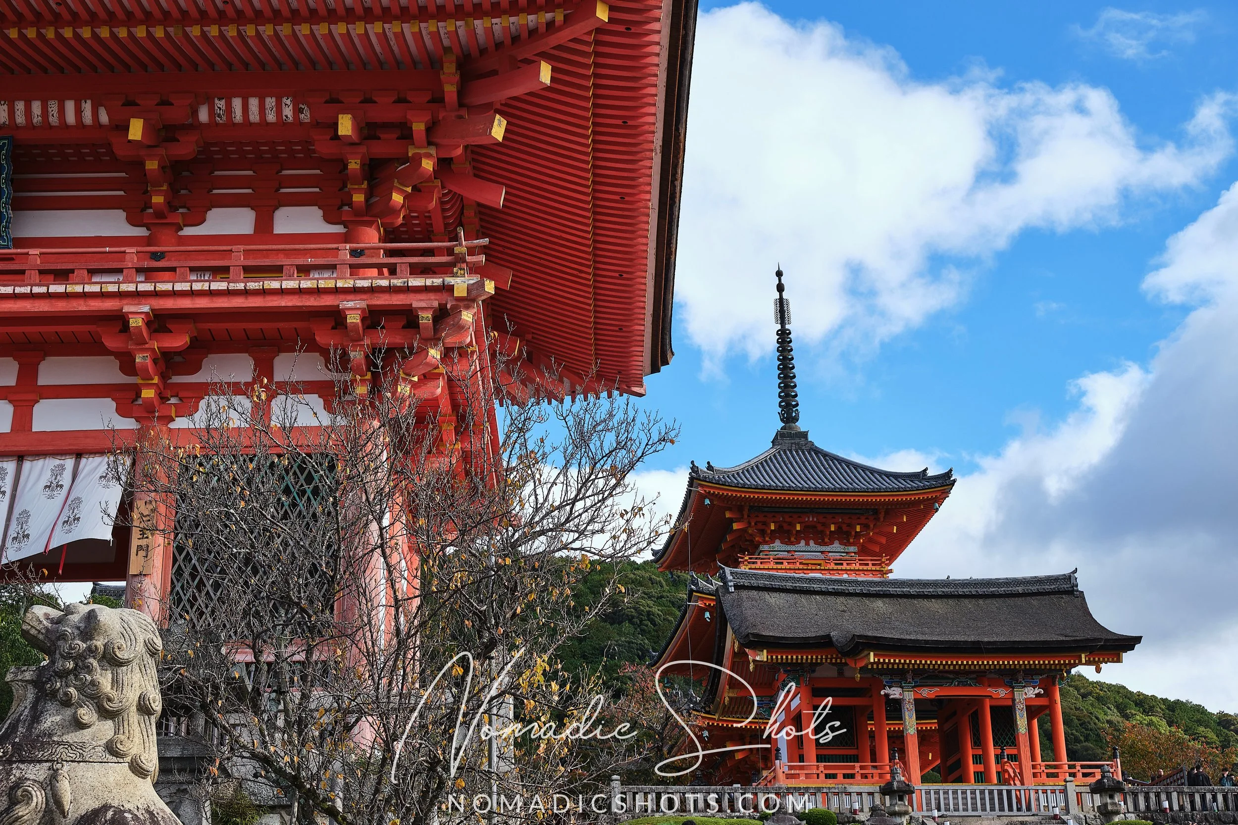 C1_DSCF7263.jpg