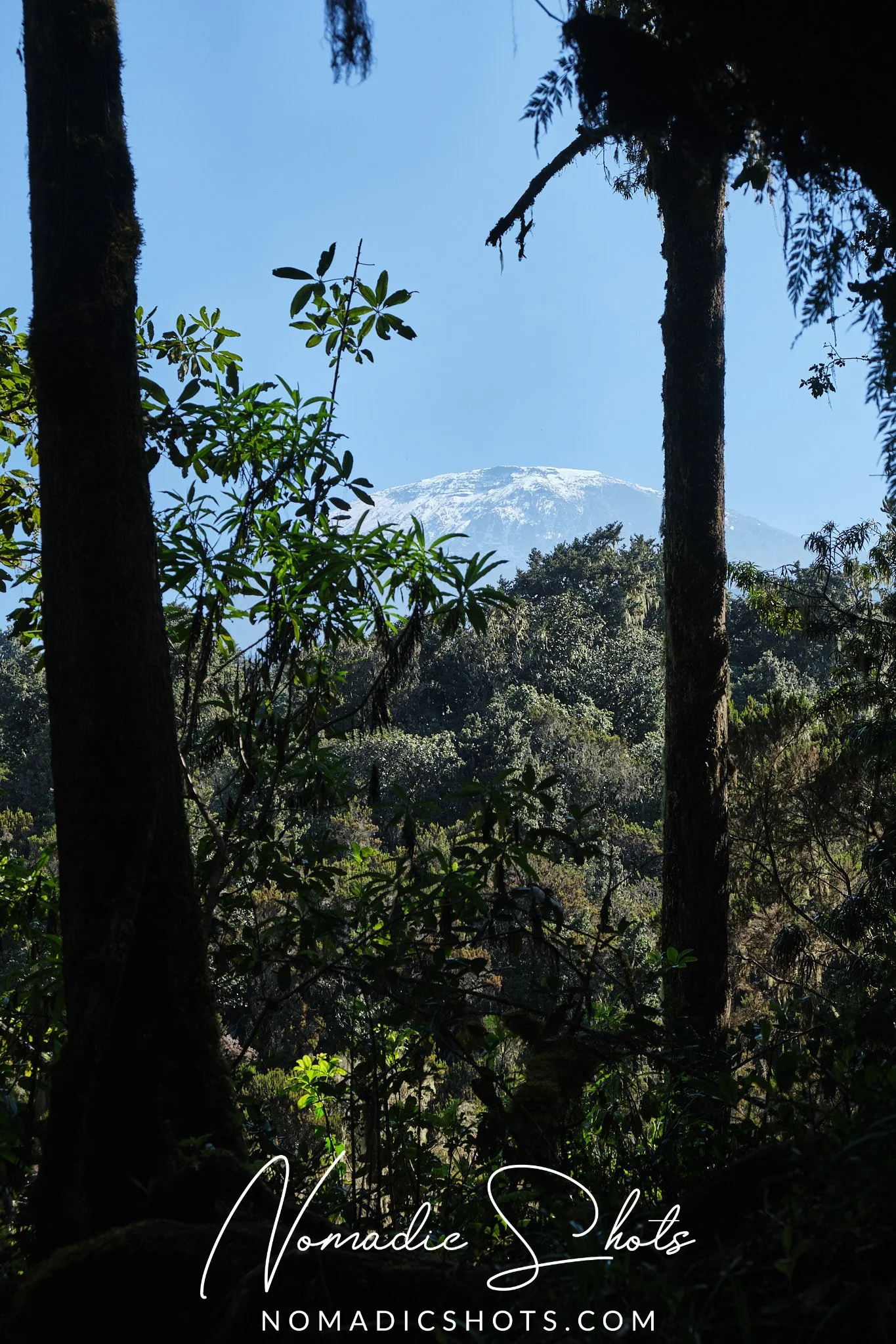 C1_DSCF1744.jpg