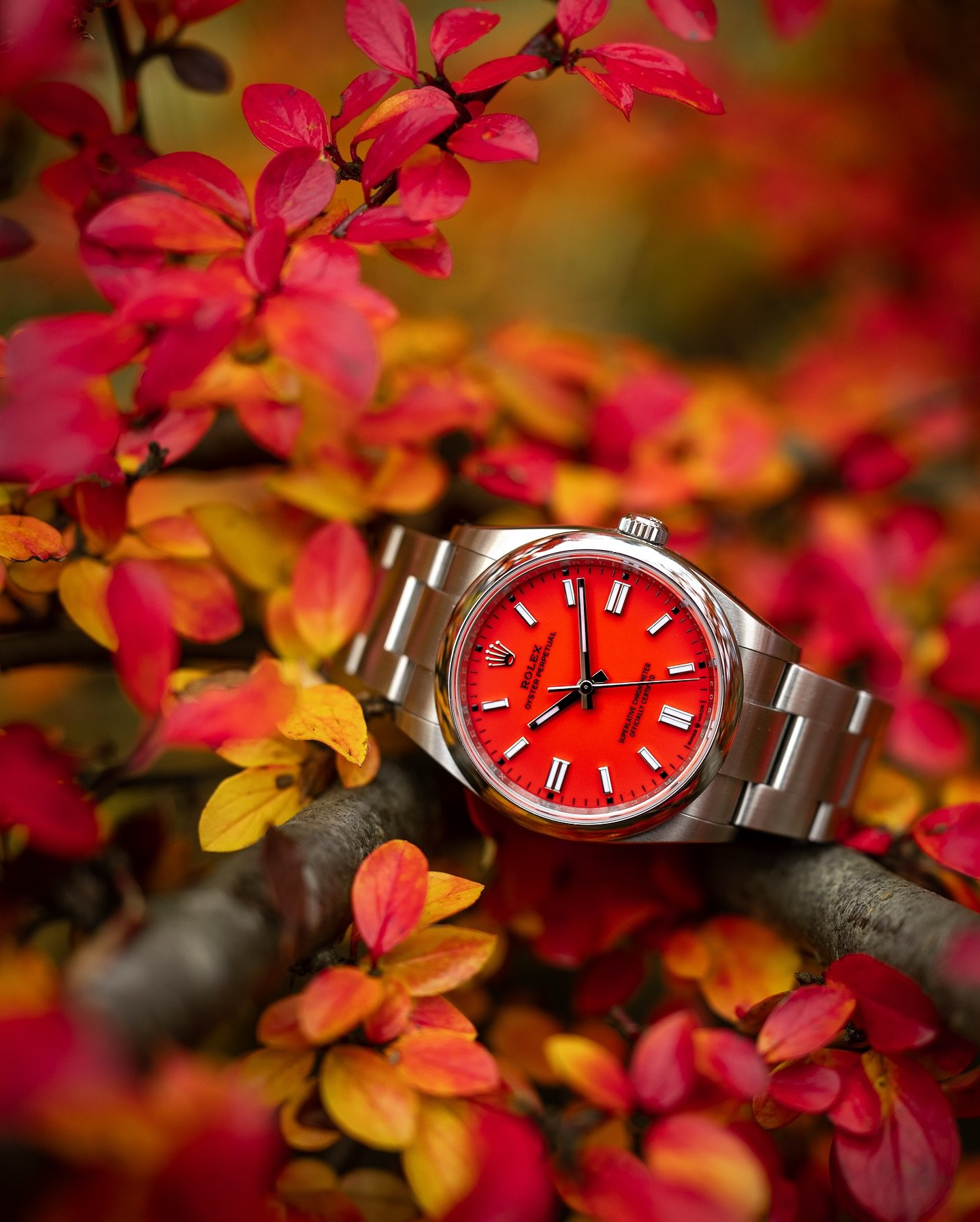 When I see leaves this color, I can&rsquo;t help but get back to photography! Since my last post was my midsummer crown, maybe I&rsquo;ll have one photo per season 😬. Also hiiiii, it&rsquo;s been quite awhile! I hope this photo brightens up your day