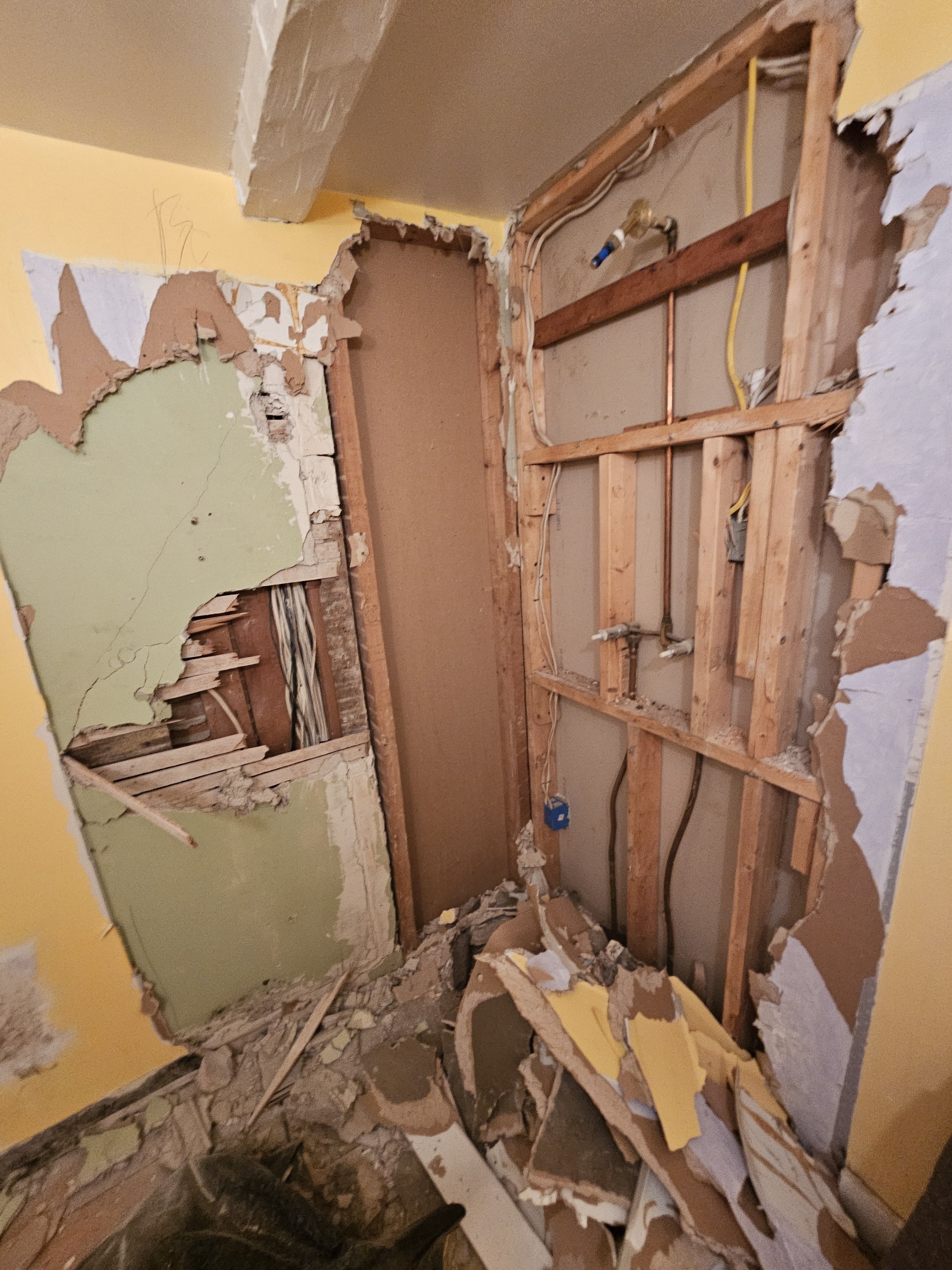 Bathroom, gutted