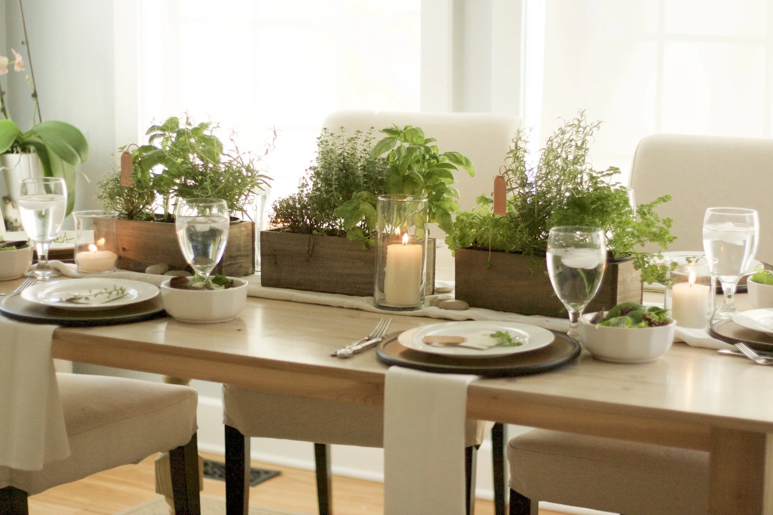 Winter Blue Cure with&nbsp;Herbs