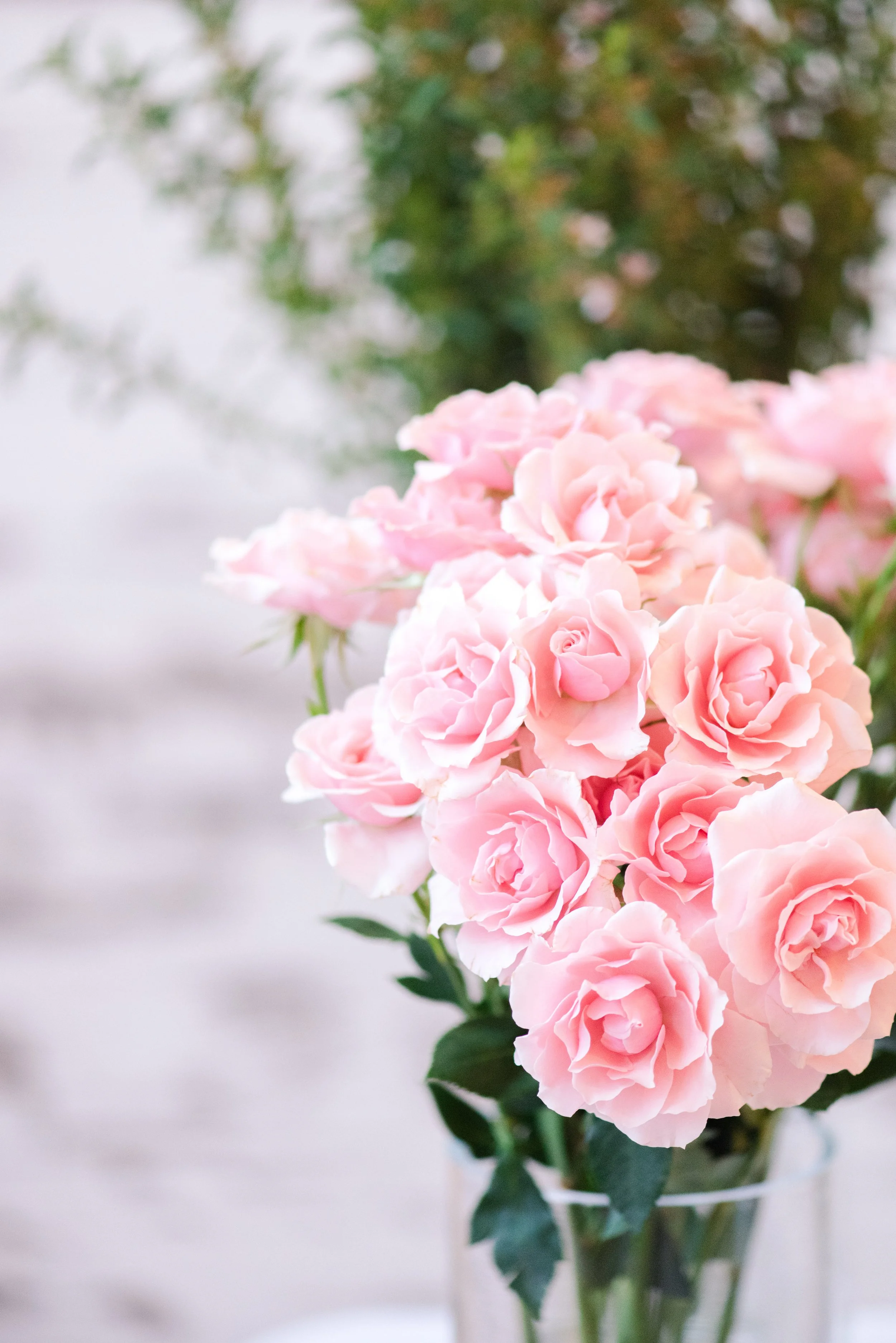 Victorian Gardens Workshop-0001.jpeg