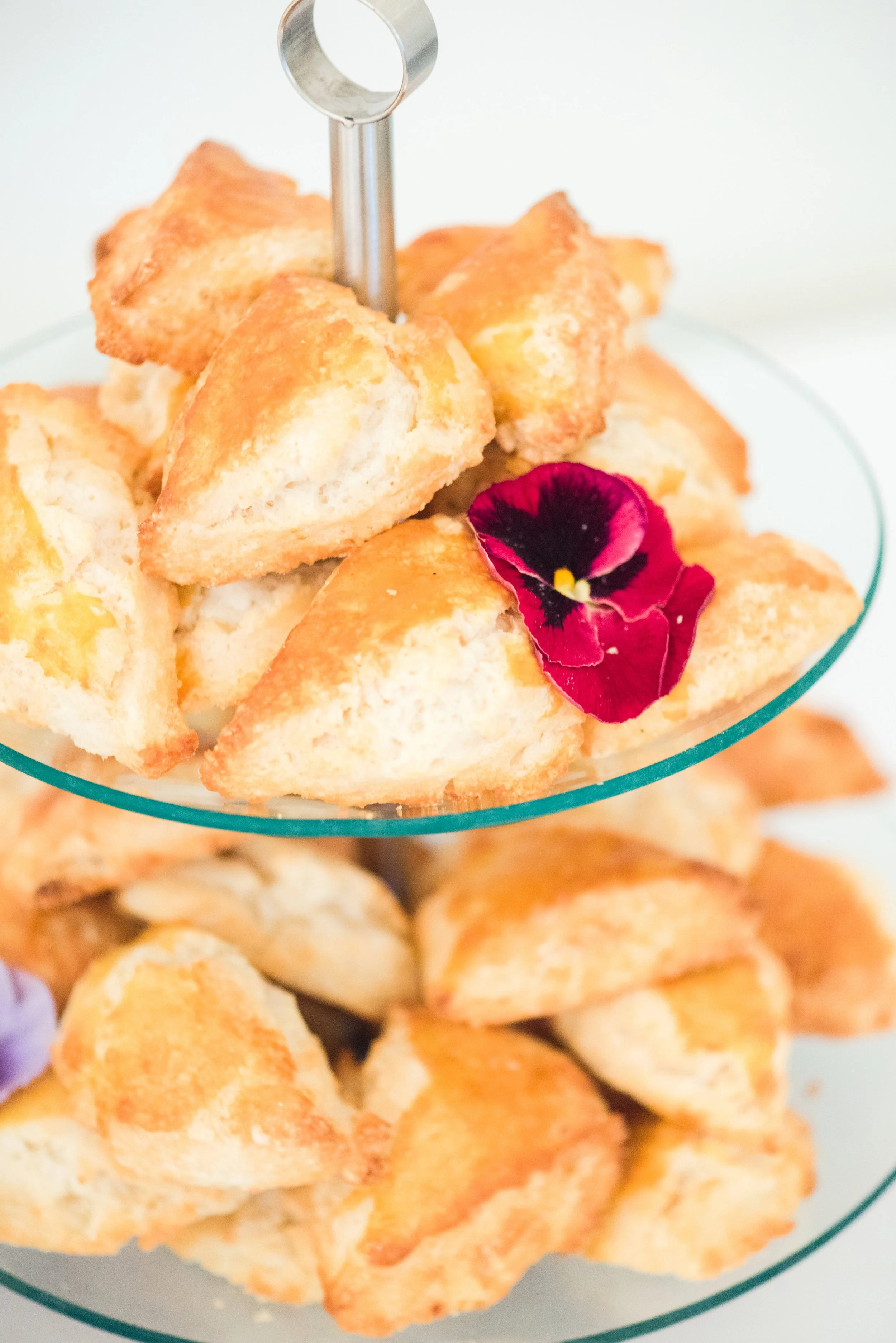 Victorian Gardens Workshop-0003.jpeg