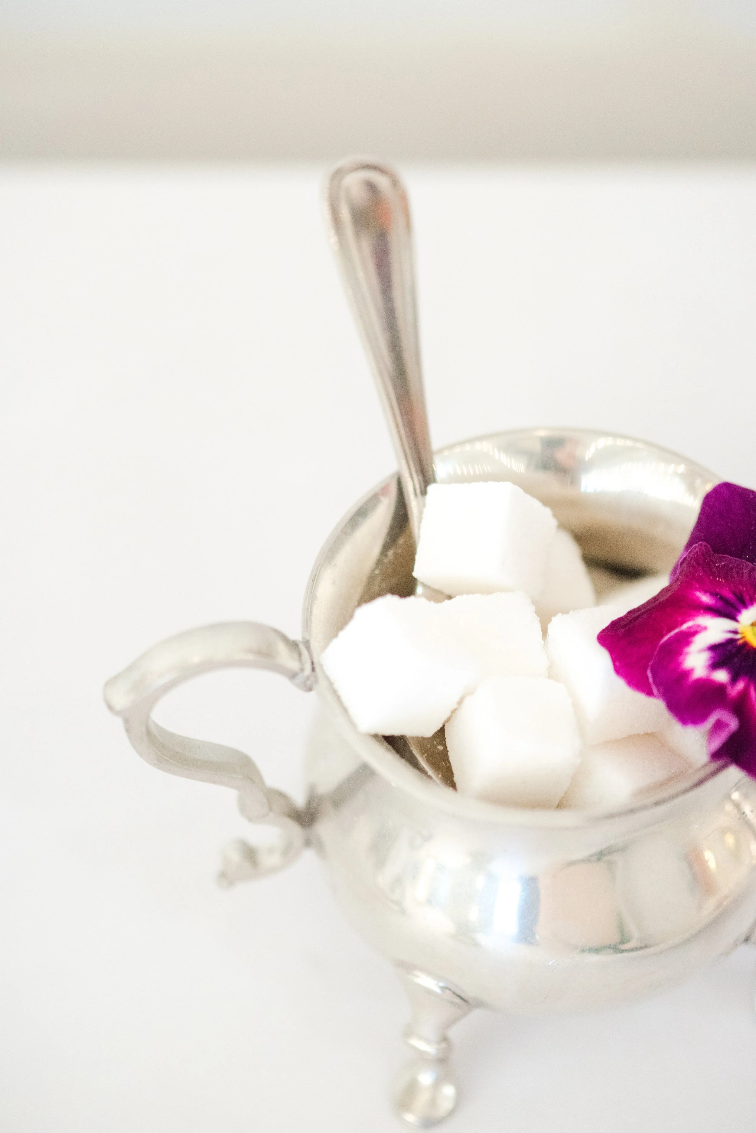 Victorian Gardens Workshop-0004.jpeg