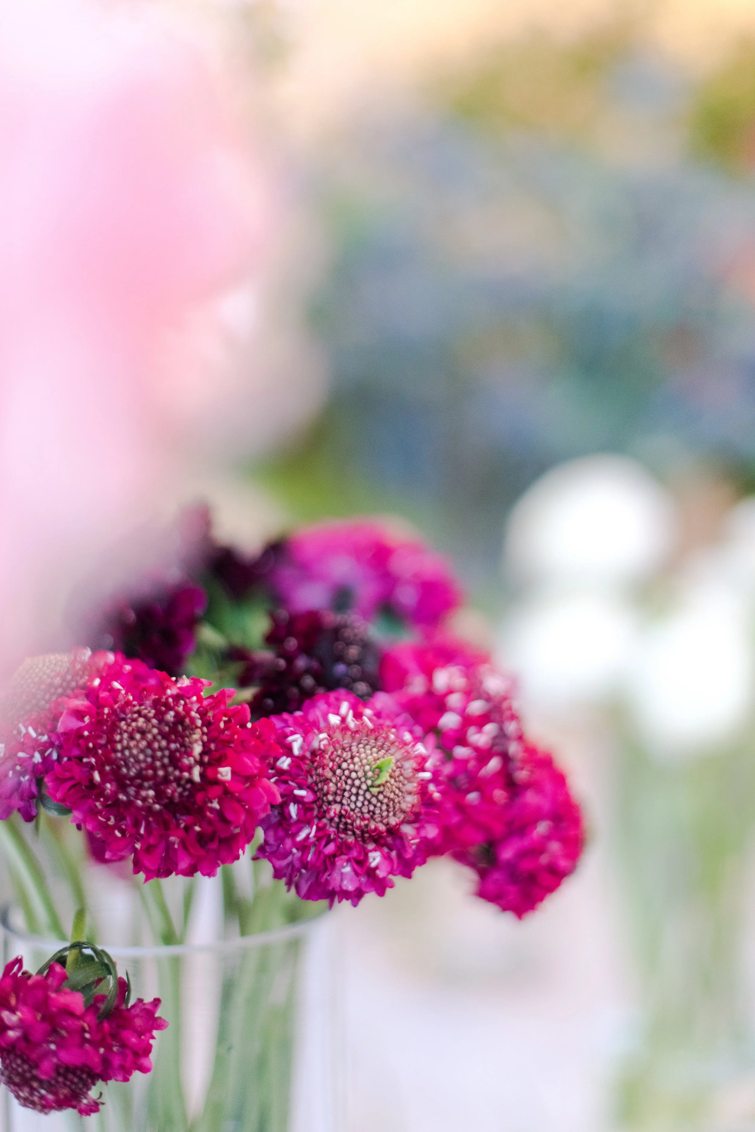 Victorian Gardens Workshop-0006.jpeg