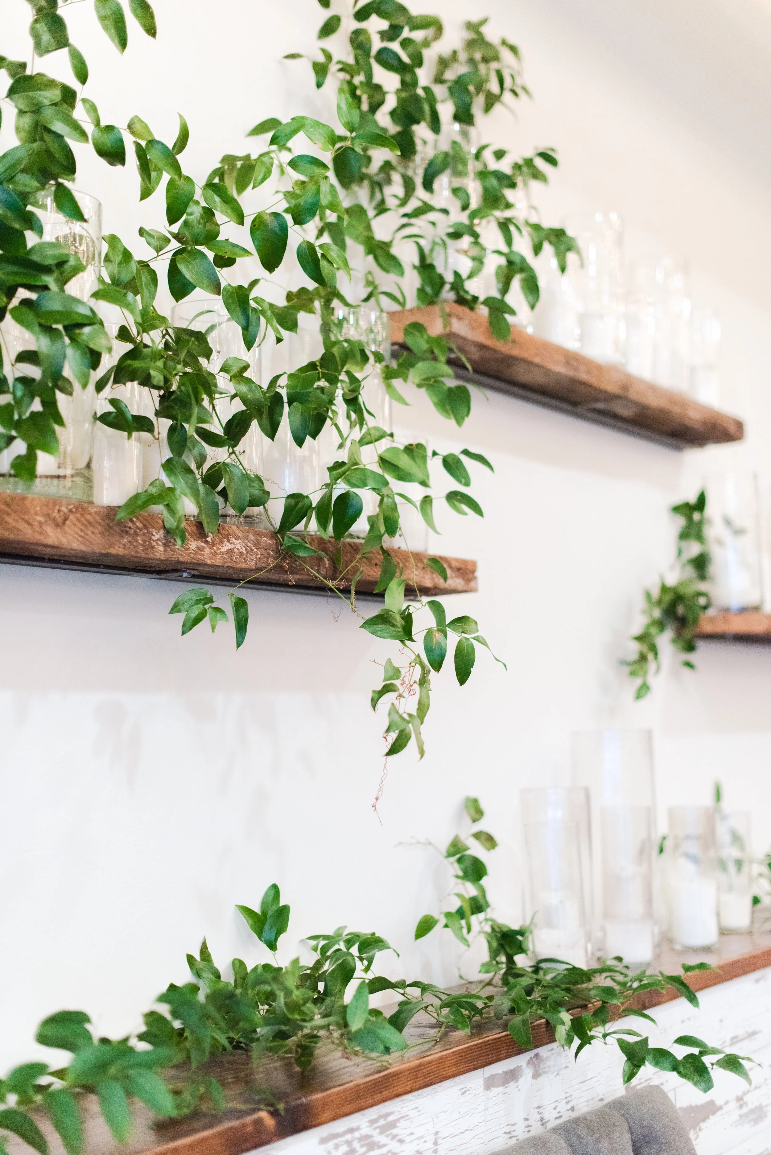 Victorian Gardens Workshop-0008.jpeg