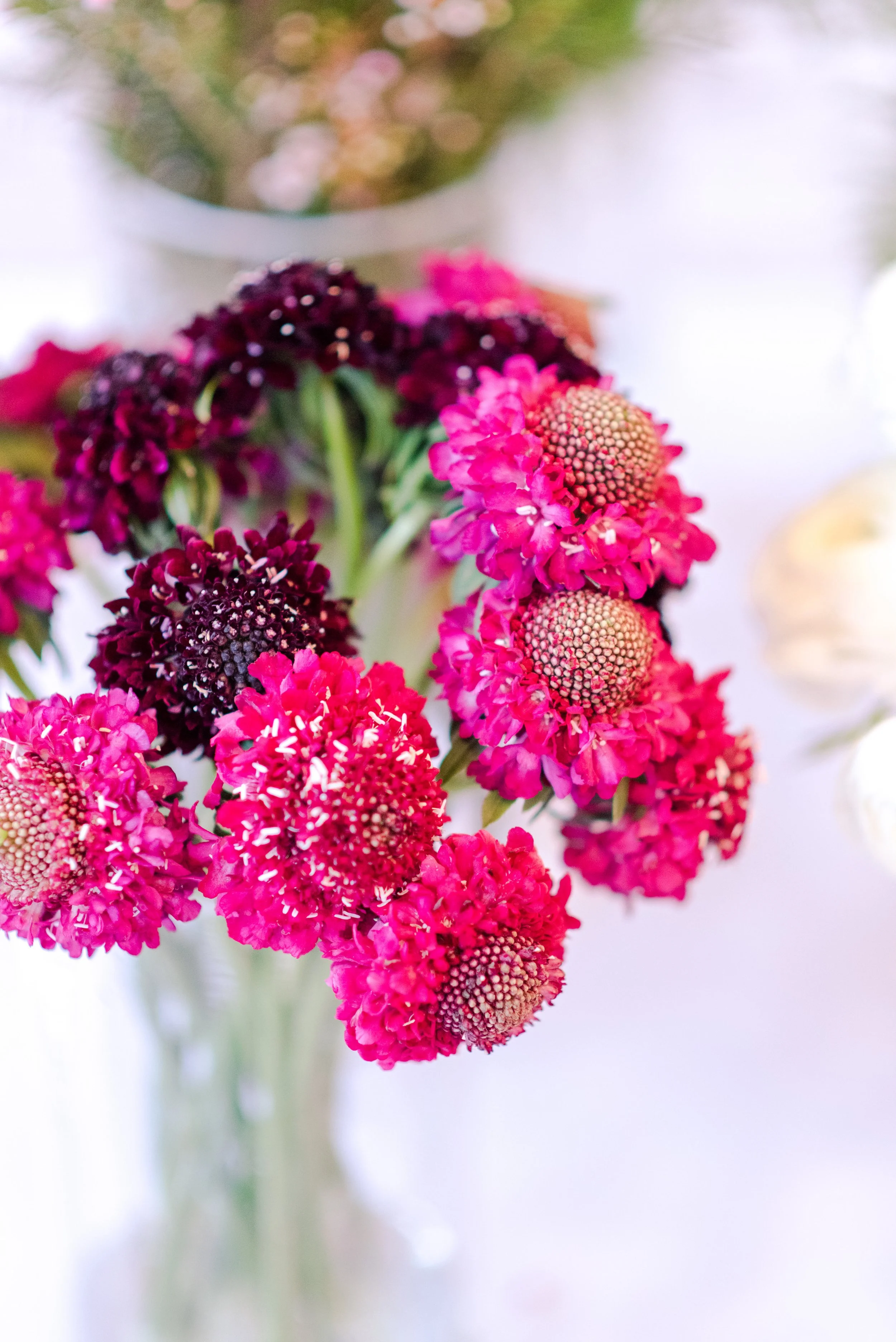 Victorian Gardens Workshop-0015.jpeg