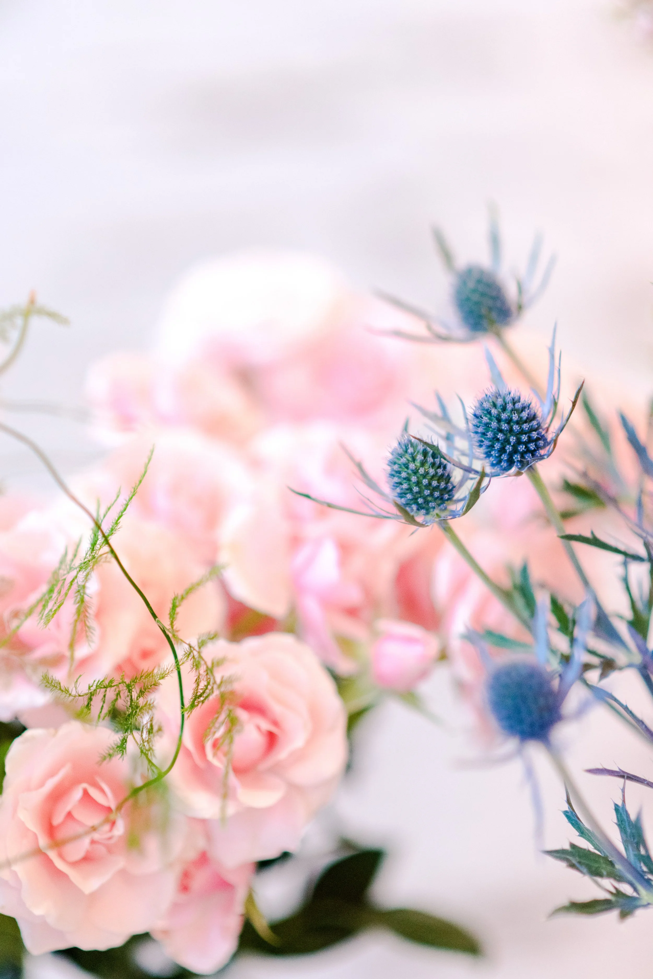 Victorian Gardens Workshop-0016.jpeg