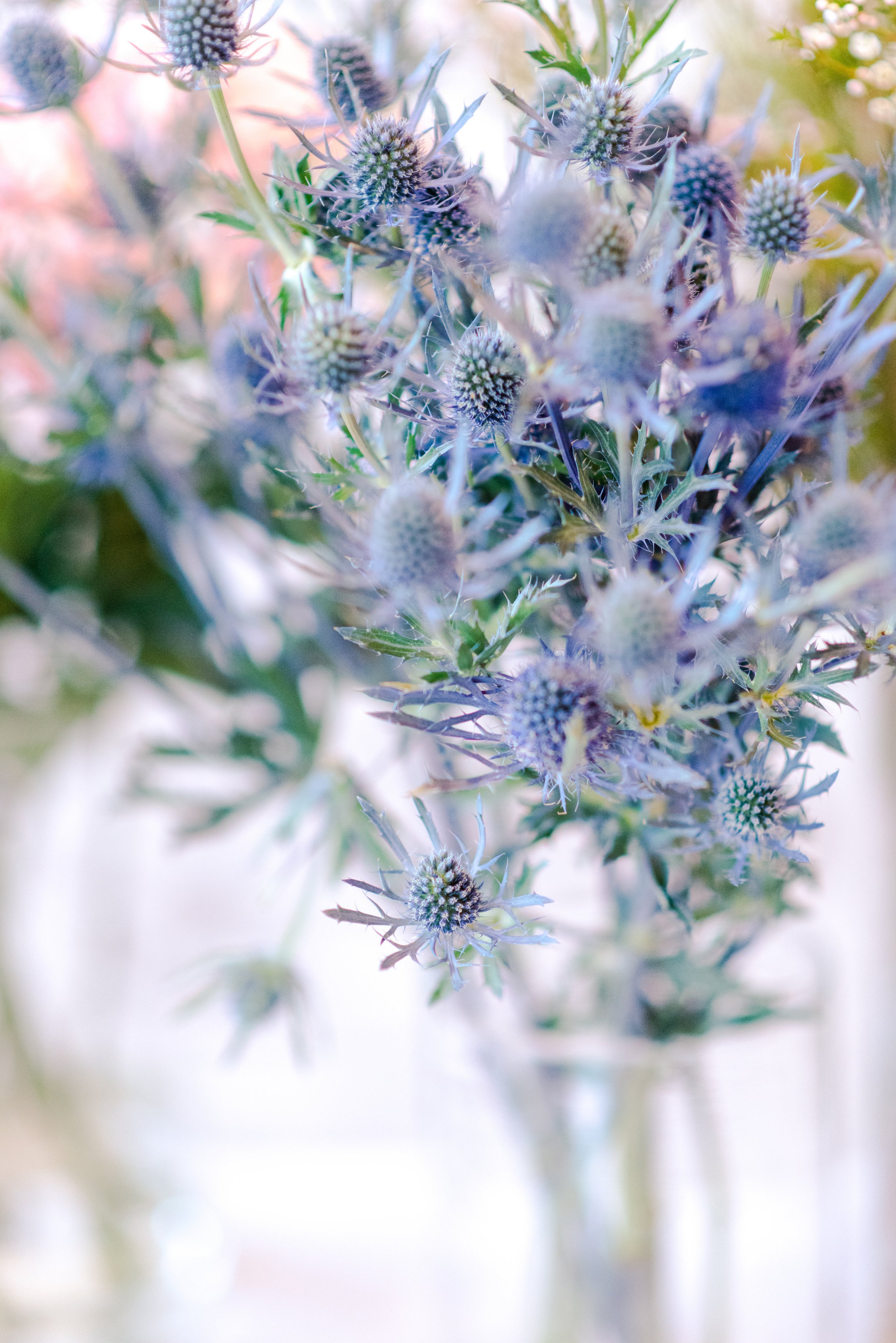 Victorian Gardens Workshop-0017.jpeg