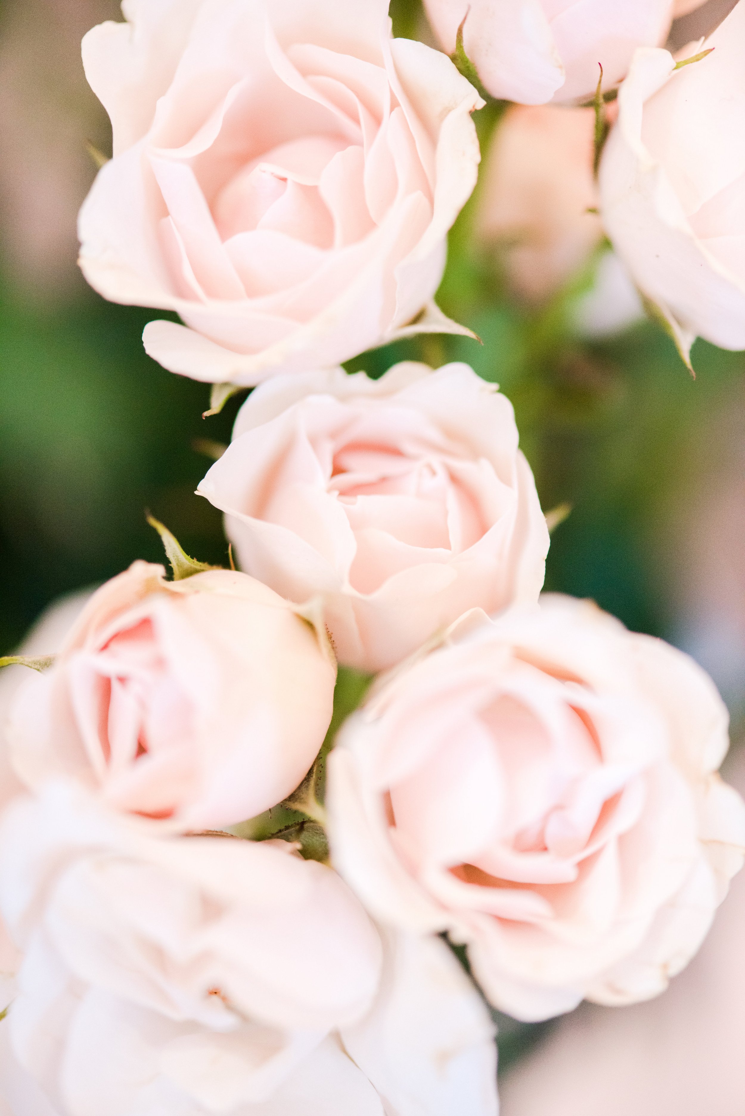 Victorian Gardens Workshop-0020.jpeg