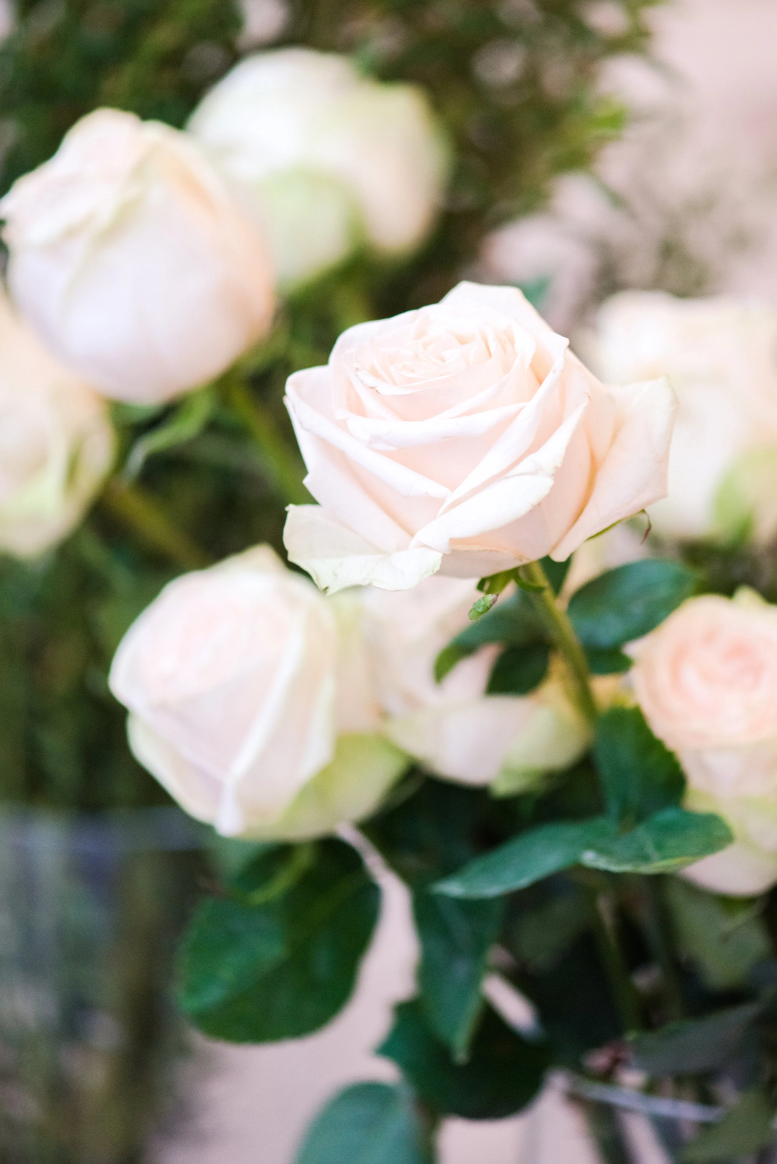 Victorian Gardens Workshop-0019.jpeg