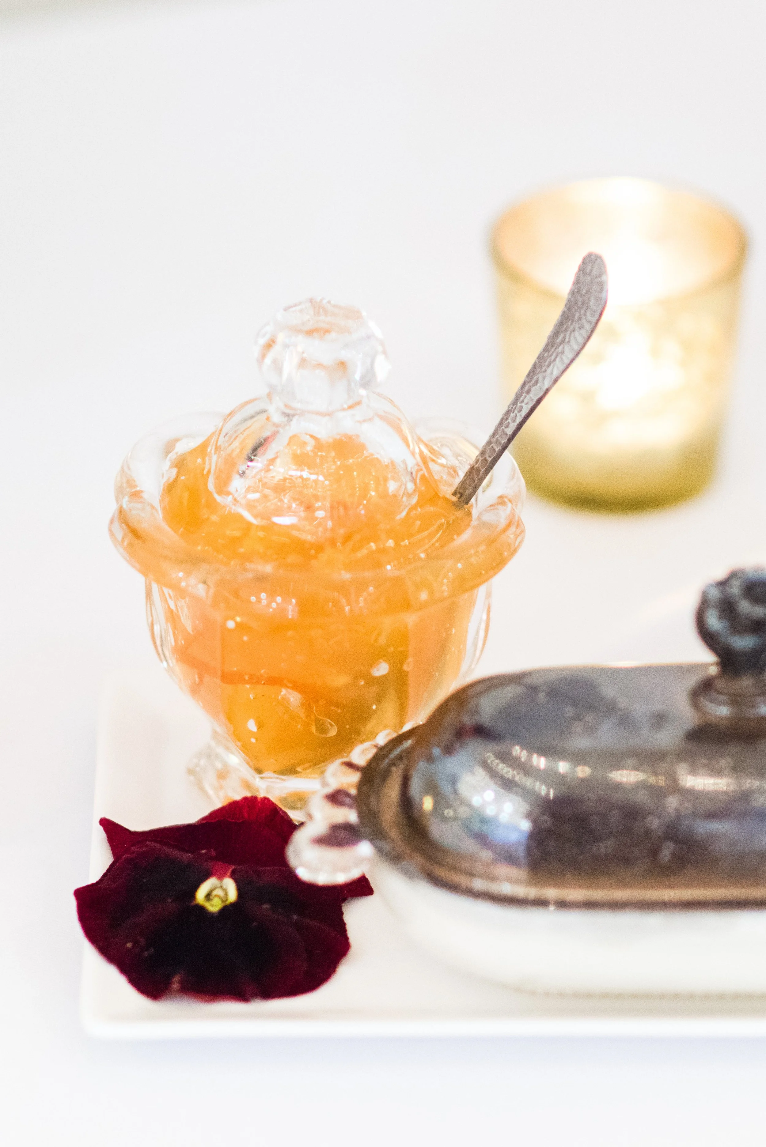 Victorian Gardens Workshop-0014.jpeg