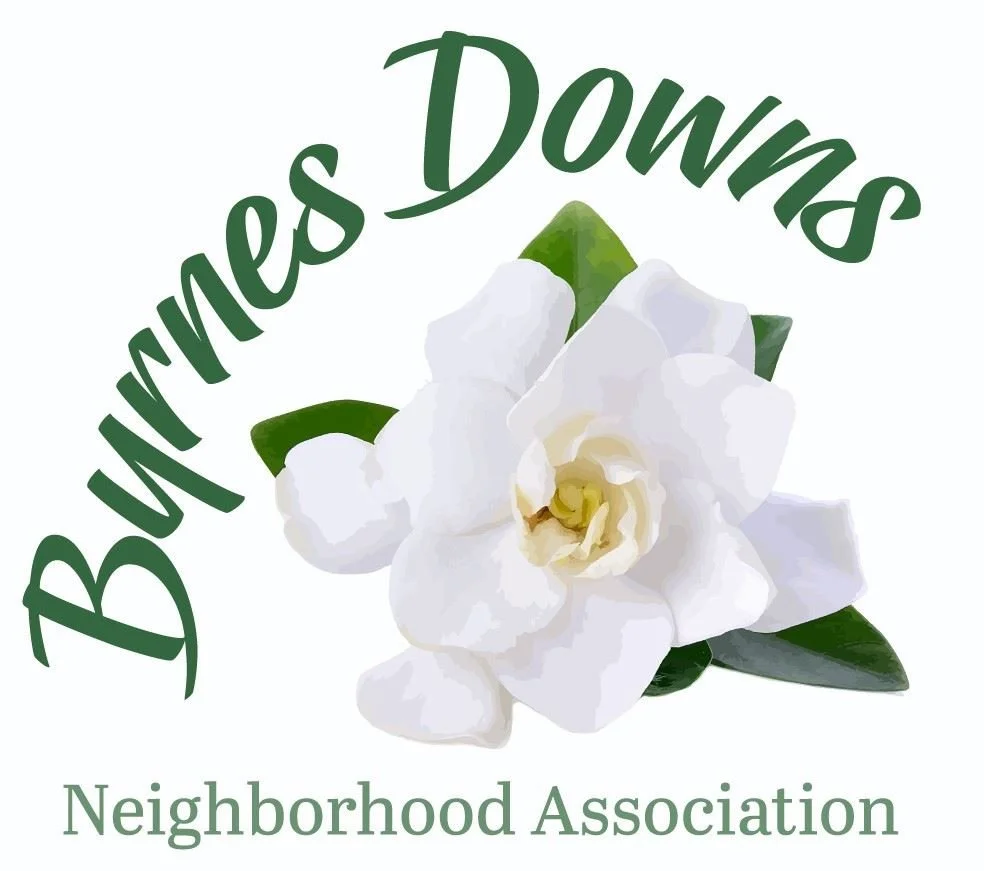 BDNA Annual Dues