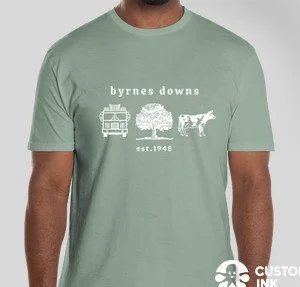 Adult T-Shirt in Sage