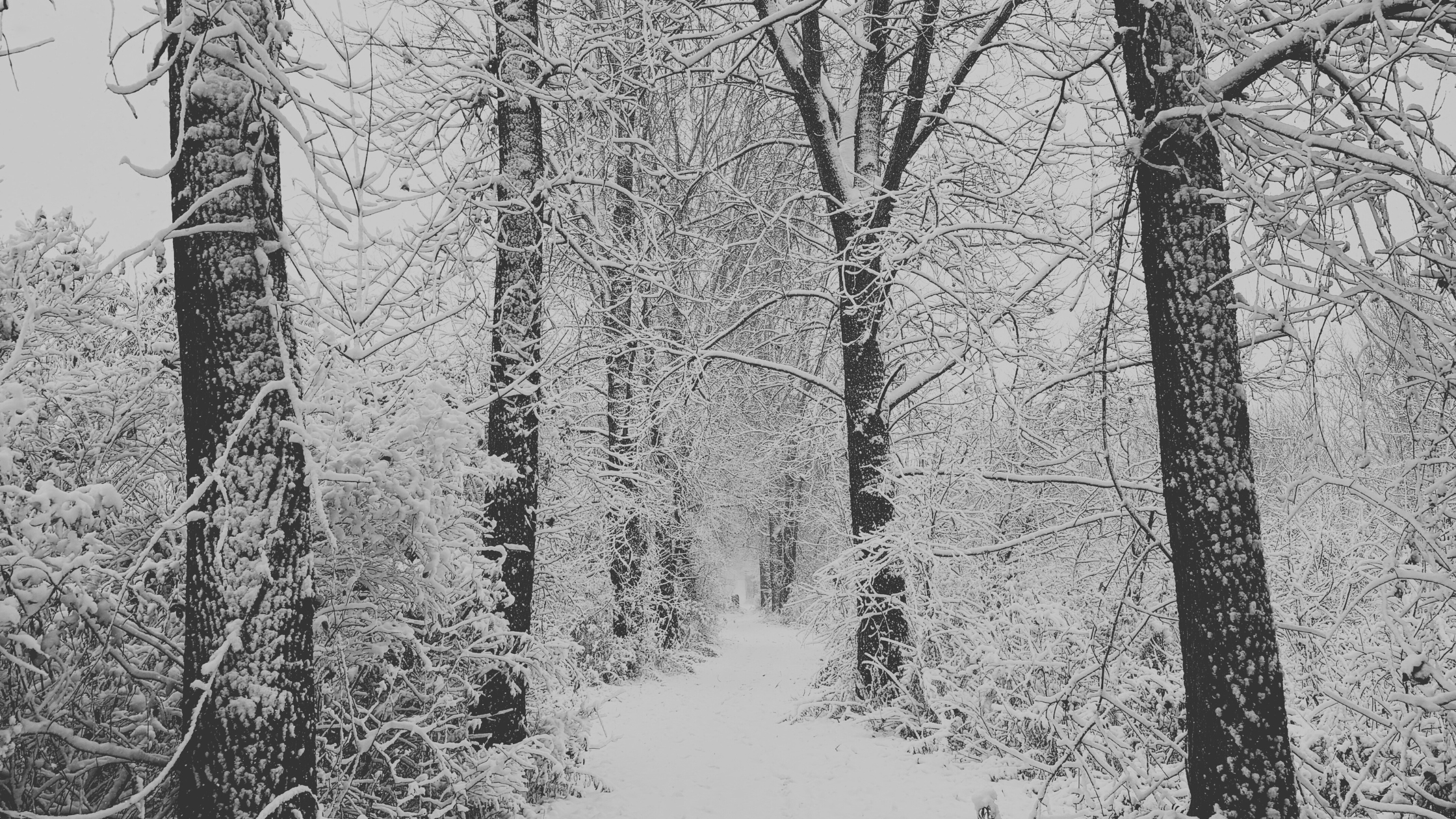 Does your coach need to be an elite ultrarunner?