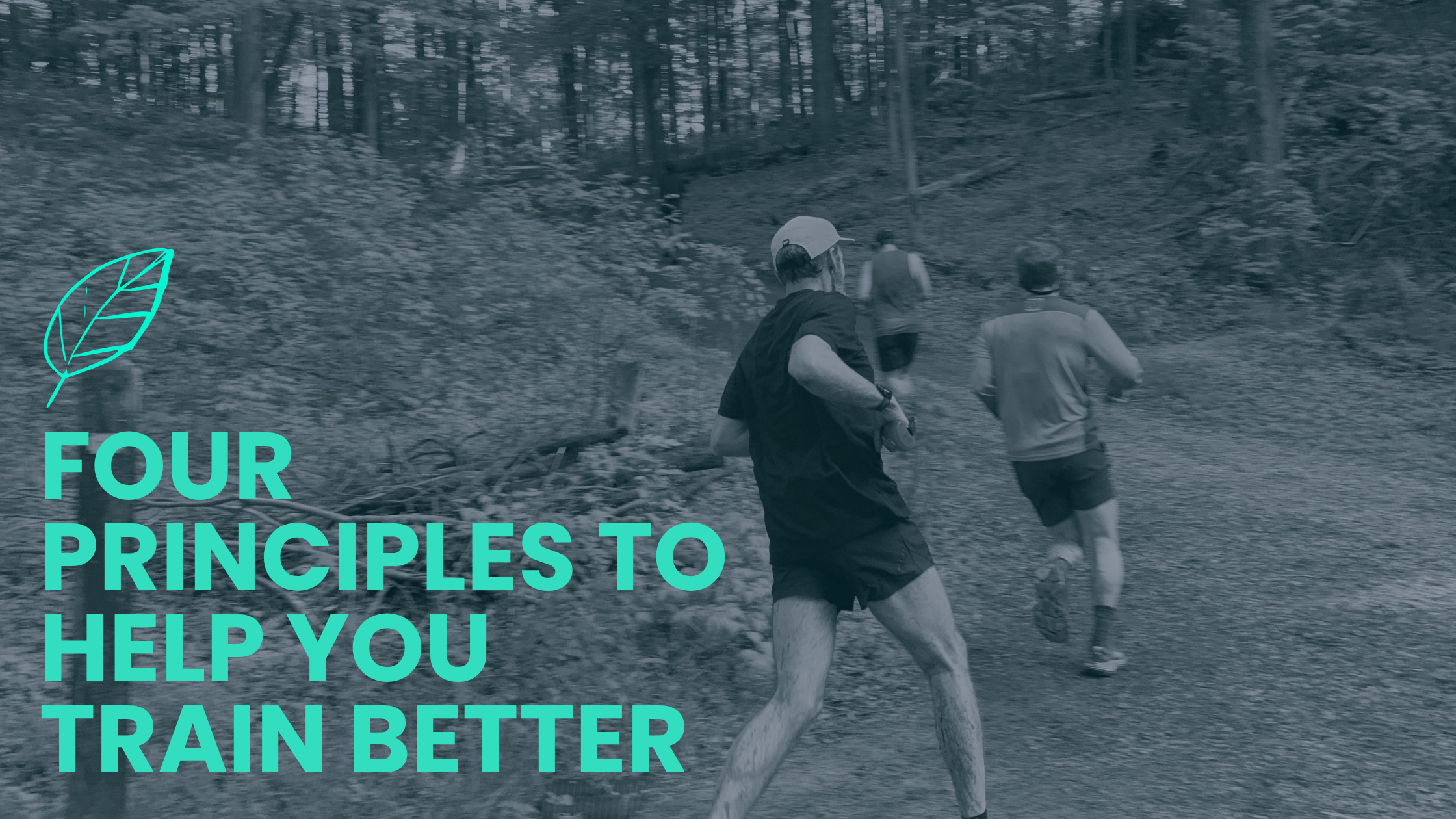 Four guiding principles to help you train better