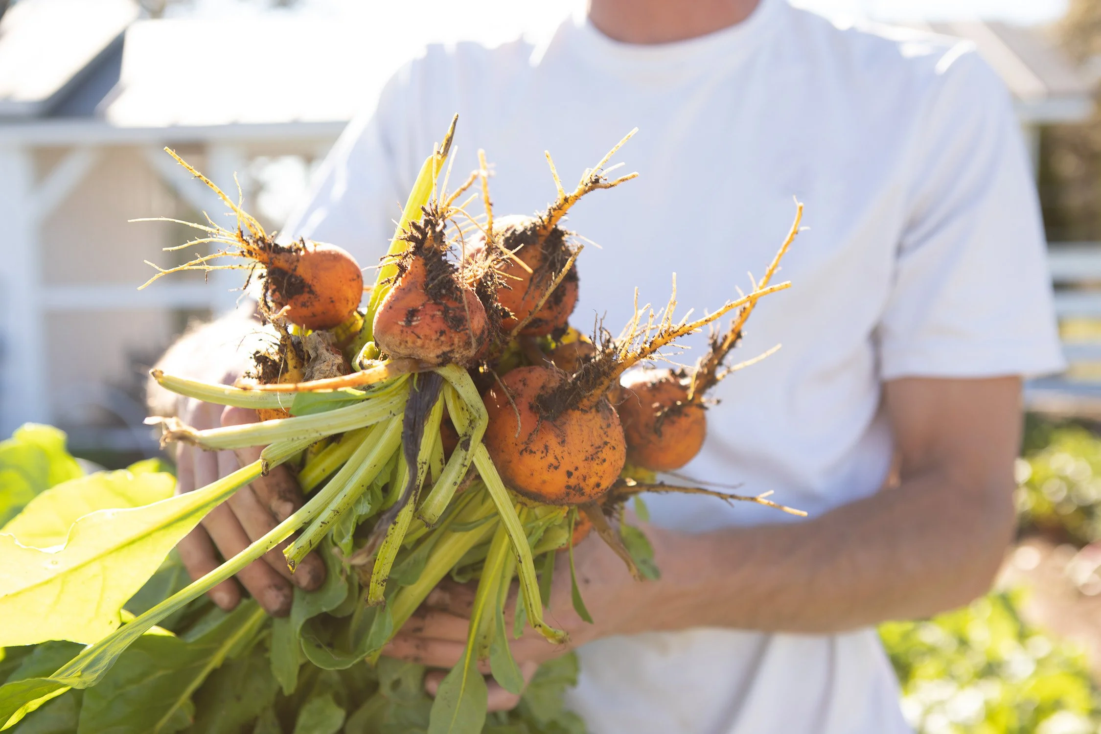 la-grange-farm-march-harvest-37.jpg