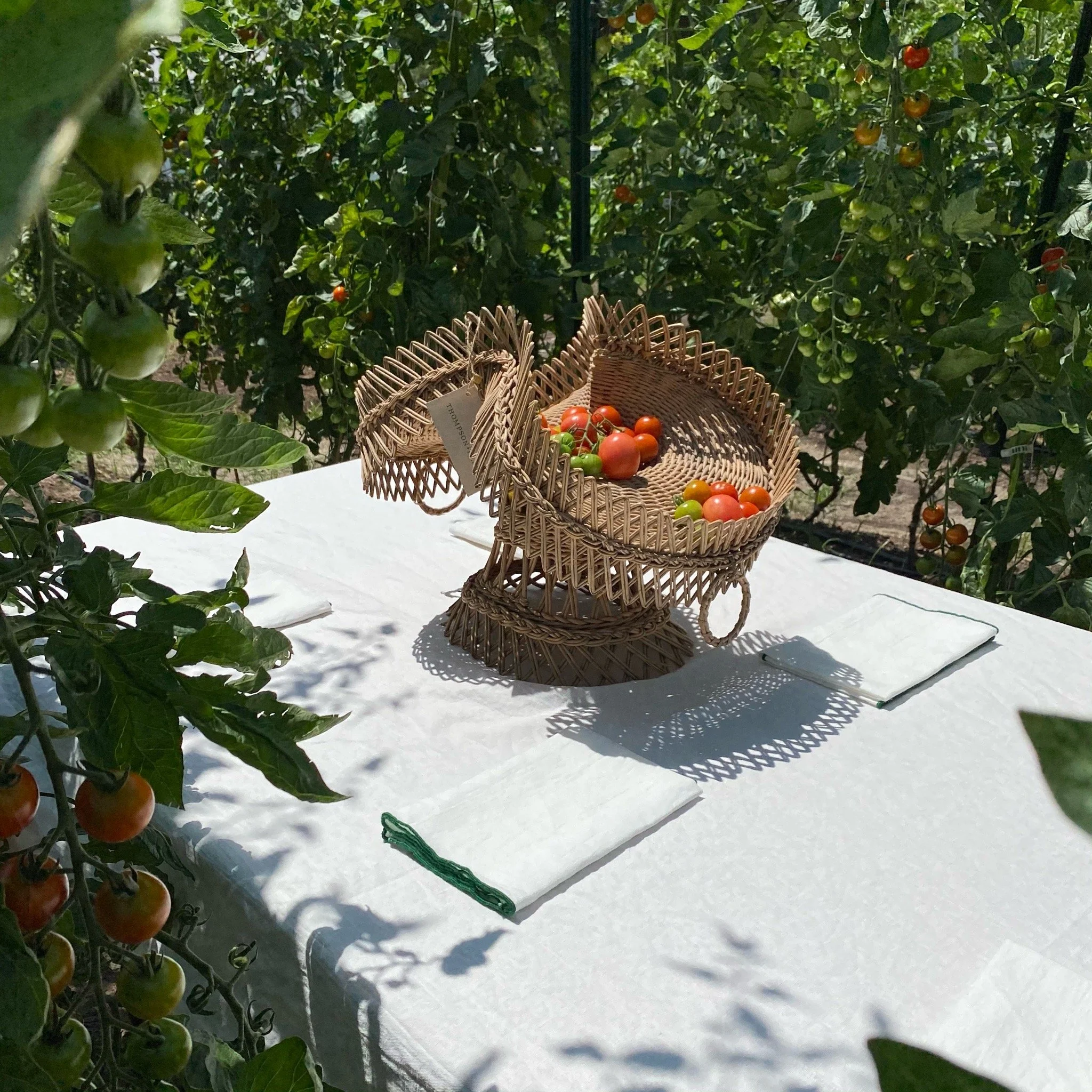 Seasonal Farm Dinner | June 19