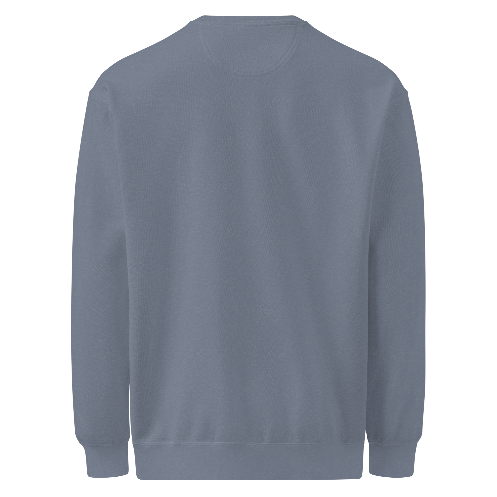 unisex-garment-dyed-sweatshirt-blue-jean-back-681a6a105d3b3.png