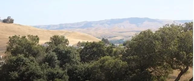 Why Direct Mail Works - Especially for Local Businesses in the Tri-Valley