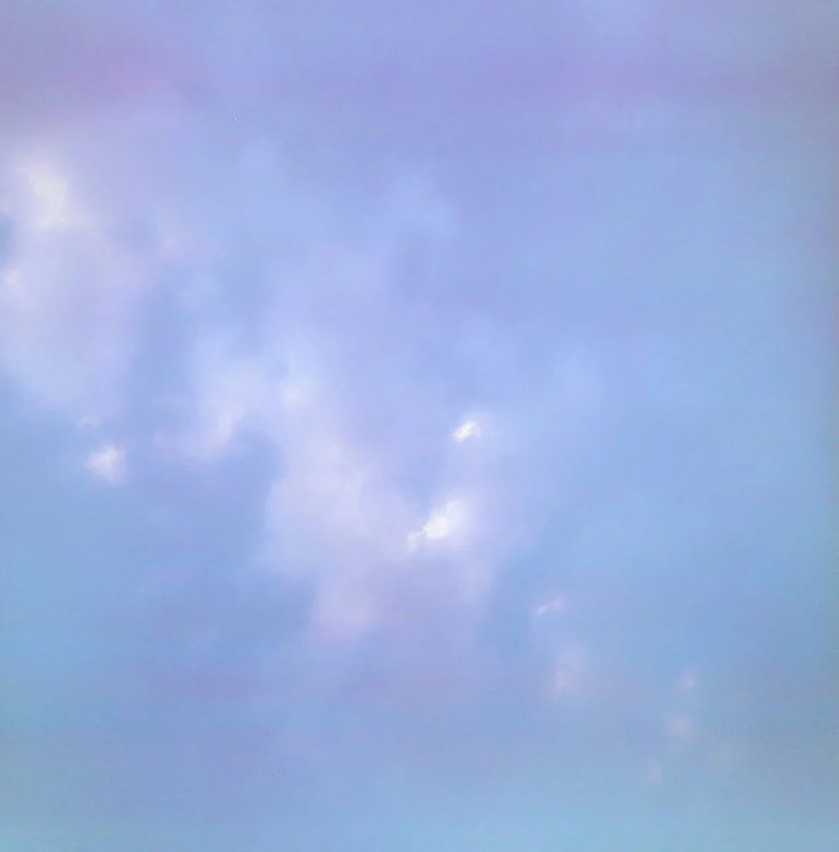 260621_000031340012_web.jpg