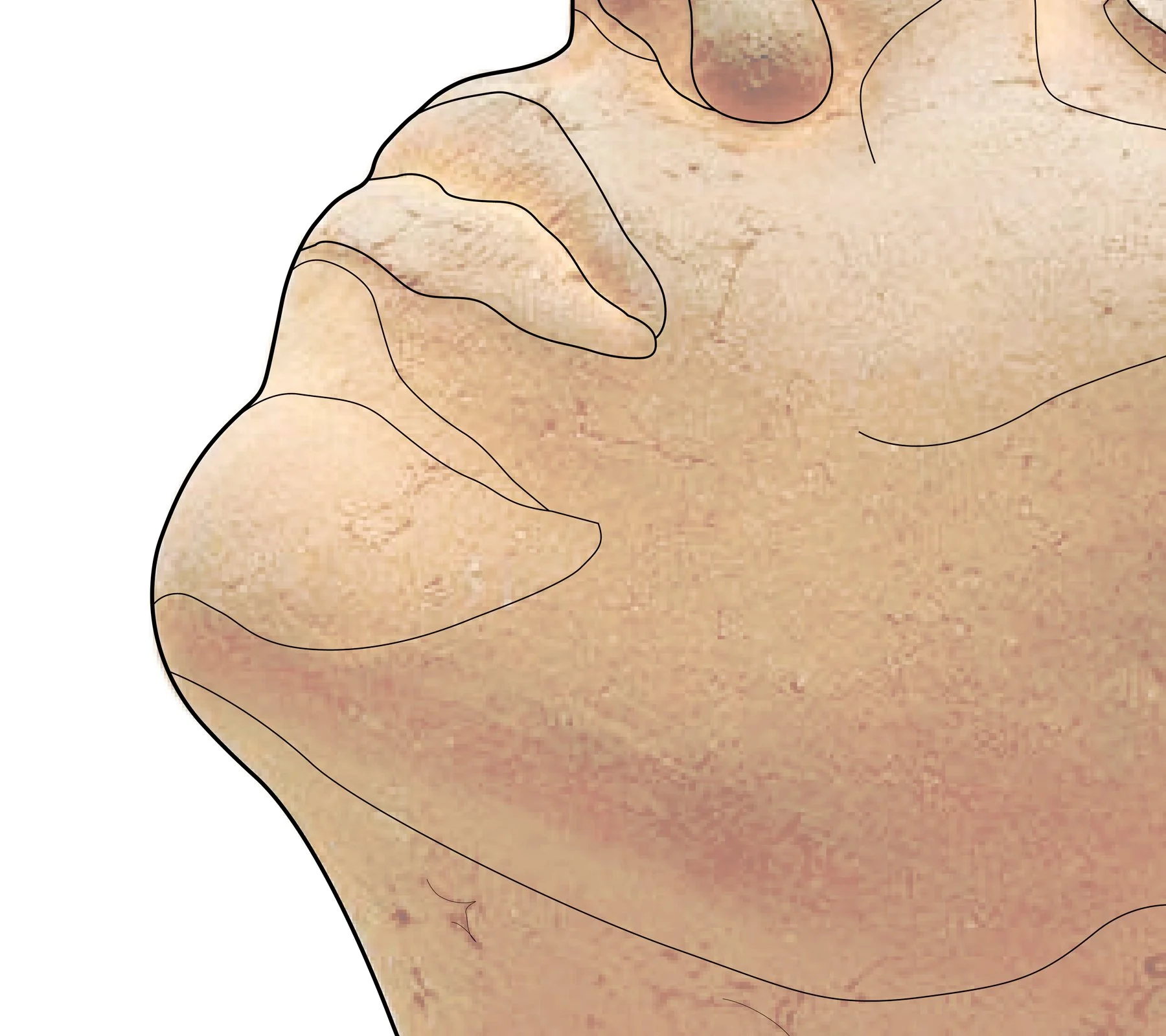 TLR_Image Details_03.jpg