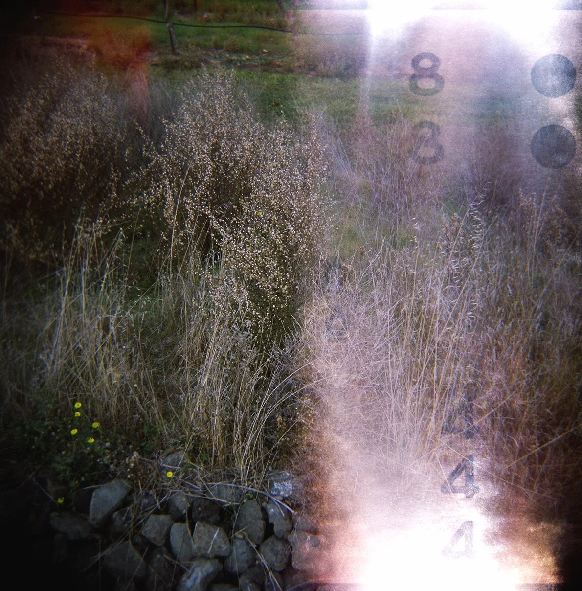 100401_12170003_web.jpg