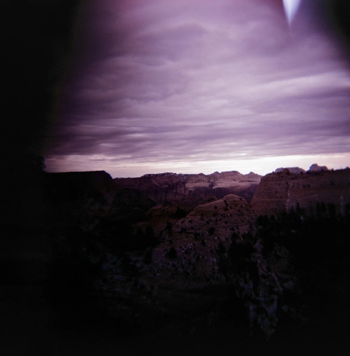 210616_72780011_web.jpg