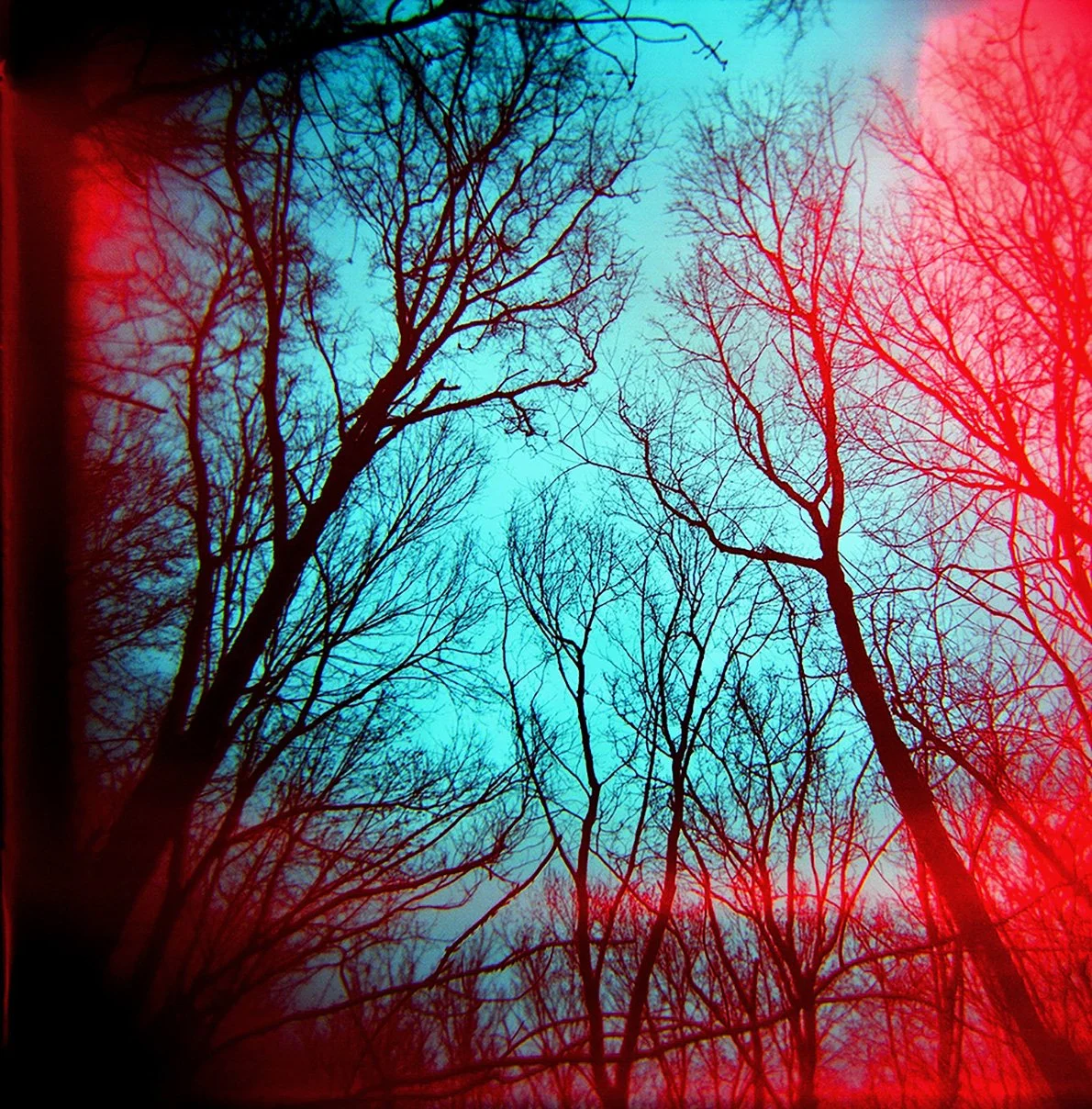 090504_30940005_web.jpg