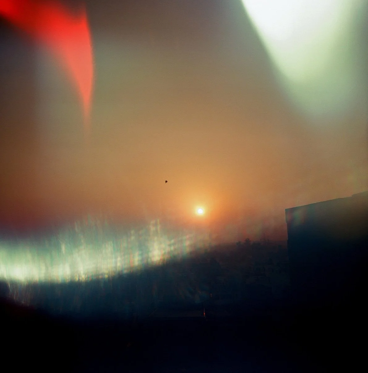 230331_74150011_web.jpg
