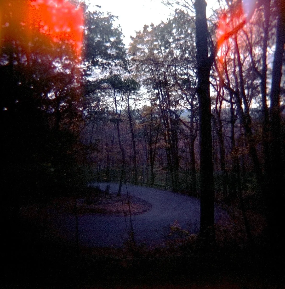 220127_51710004_web.jpg