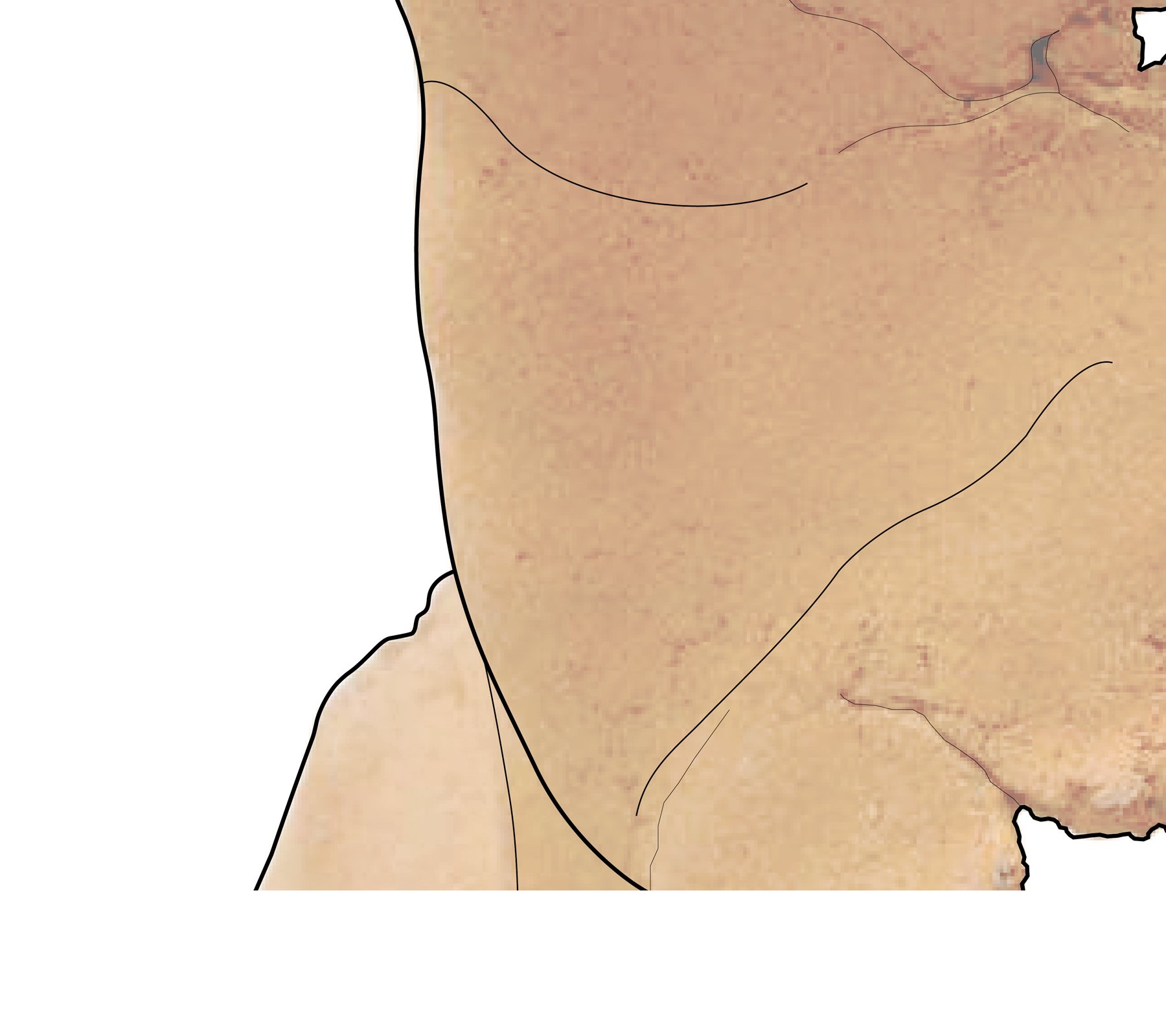 TLR_Image Details_05.jpg