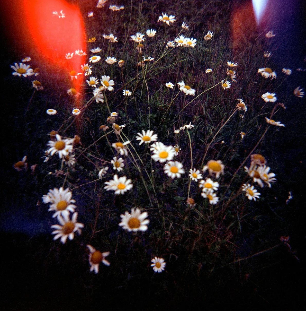 220127_51680006_web.jpg