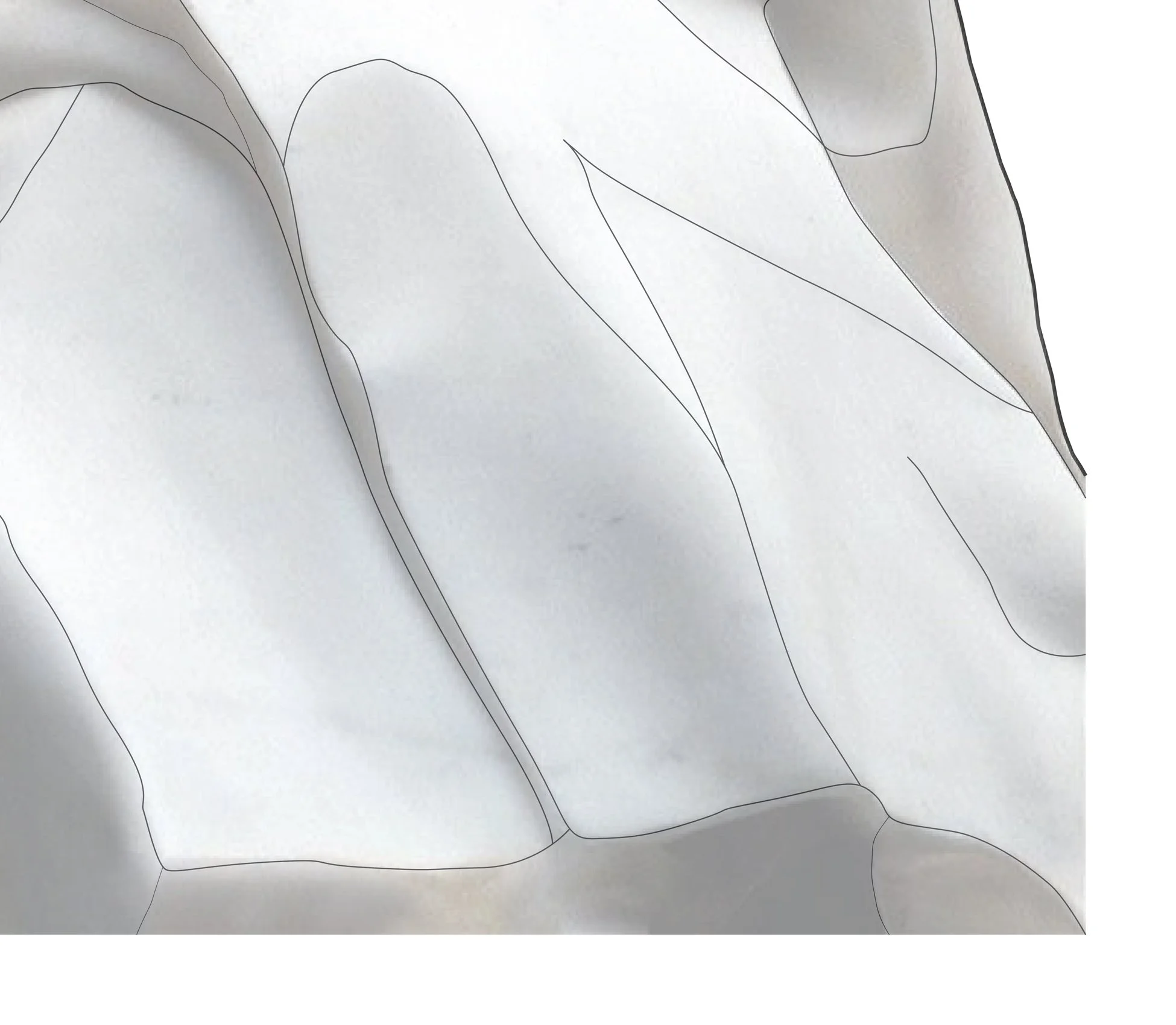 MD_Image Details_06.jpg